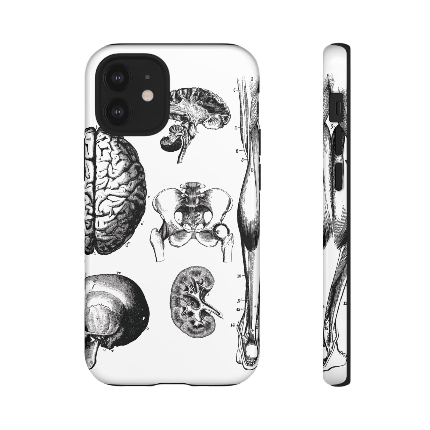 Vintage Anatomy Phone Case - Medical Sketch Design - Custom iPhone, Samsung & Pixel Cover - Science Gift - Doctor Aesthetic - Anatomy case