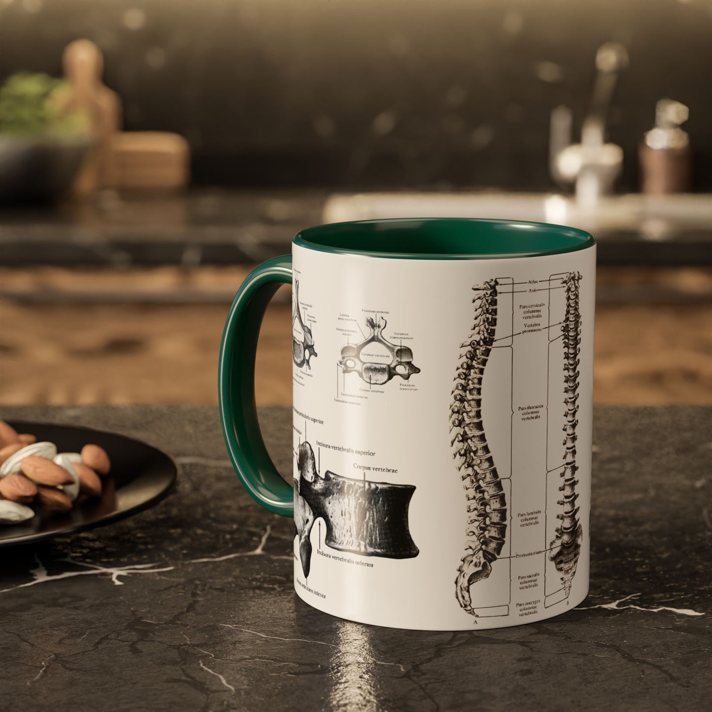 Anatomical Spine Mug, Medical Student Gift, Doctor, Nurse, Neurosurgeon