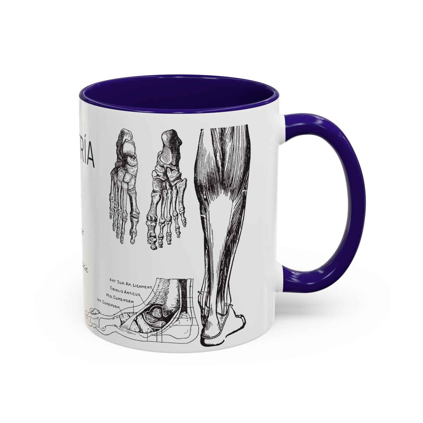 Taza Podología Pie Anatómico, Regalo Podólogo, Taza Anatomía Médica, Taza Doctor, Taza Estudiante Medicina, Personal Sanitario