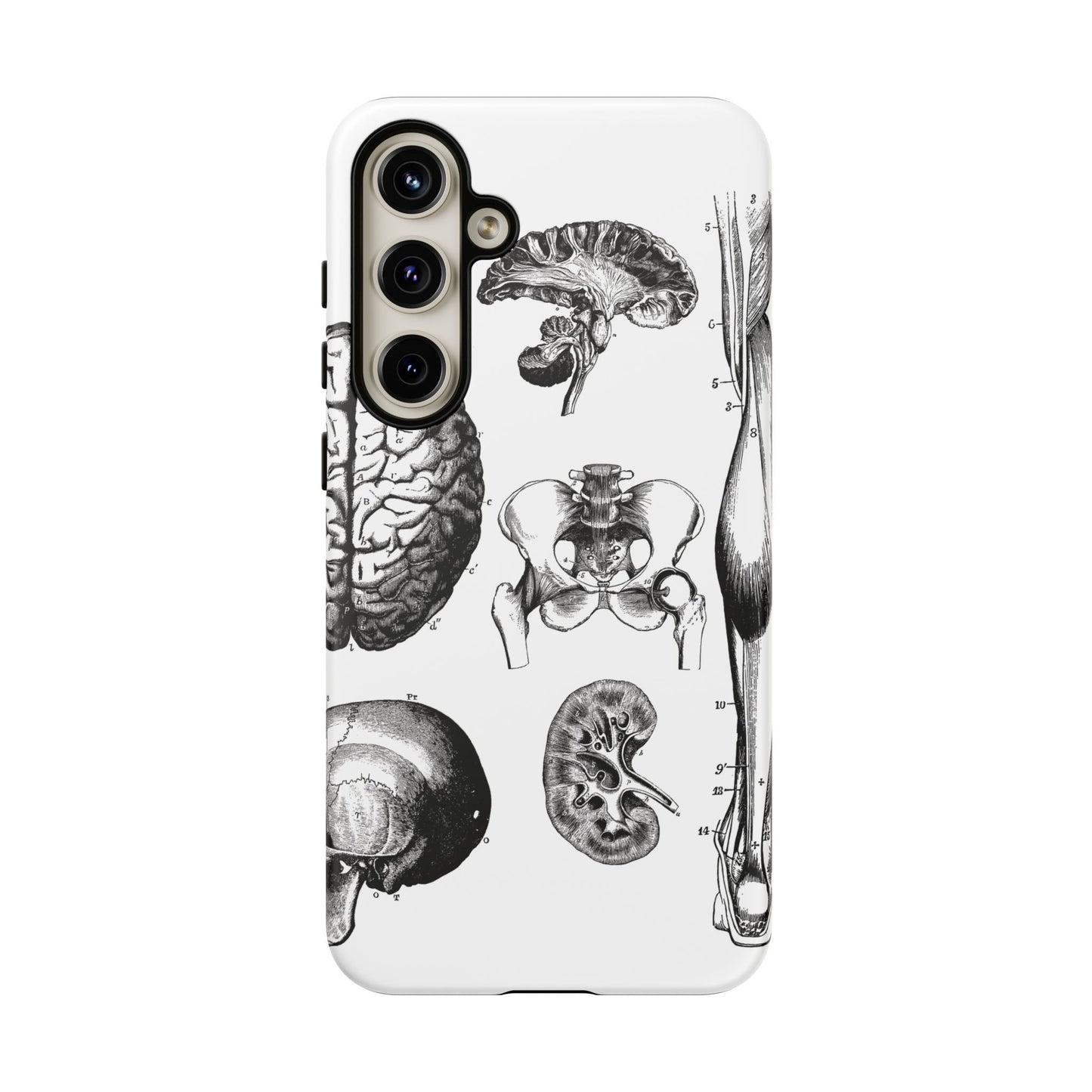 Vintage Anatomy Phone Case - Medical Sketch Design - Custom iPhone, Samsung & Pixel Cover - Science Gift - Doctor Aesthetic - Anatomy case