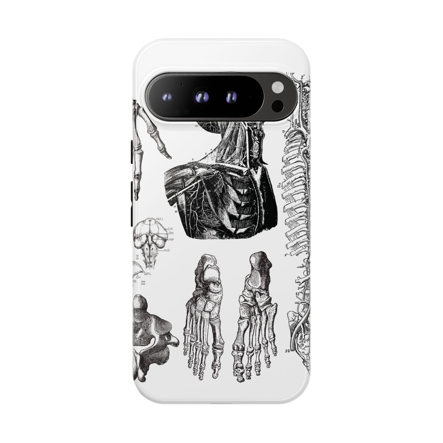 Vintage Anatomy Phone Case - Medical Illustration Design - Custom iPhone, Samsung & Pixel Cover - Science Gift - Doctor Aesthetic - Anatomy