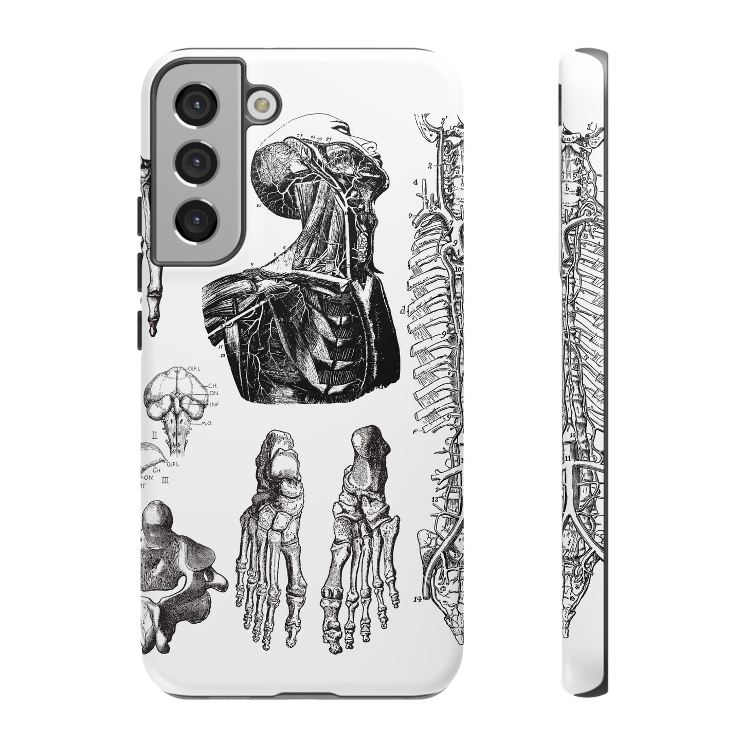 Vintage Anatomy Phone Case - Medical Illustration Design - Custom iPhone, Samsung & Pixel Cover - Science Gift - Doctor Aesthetic - Anatomy