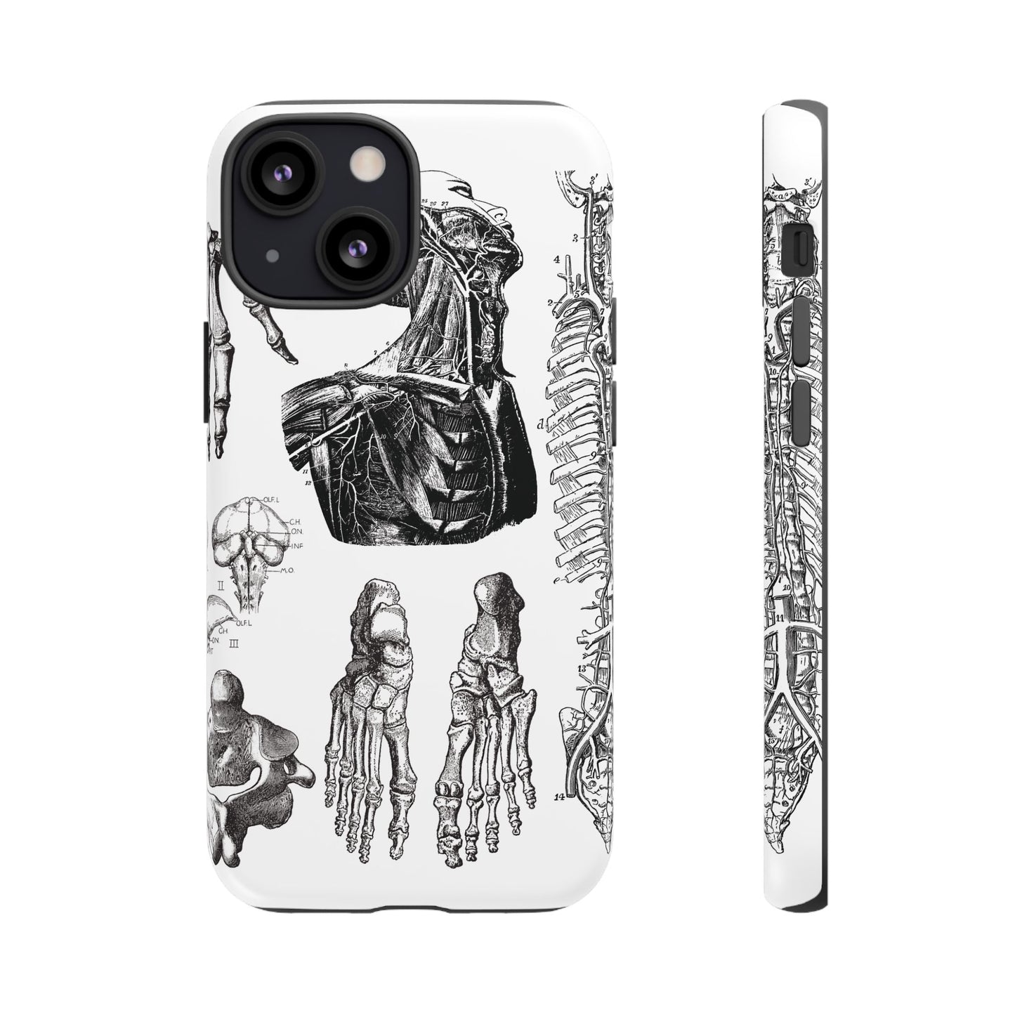 Vintage Anatomy Phone Case - Medical Illustration Design - Custom iPhone, Samsung & Pixel Cover - Science Gift - Doctor Aesthetic - Anatomy