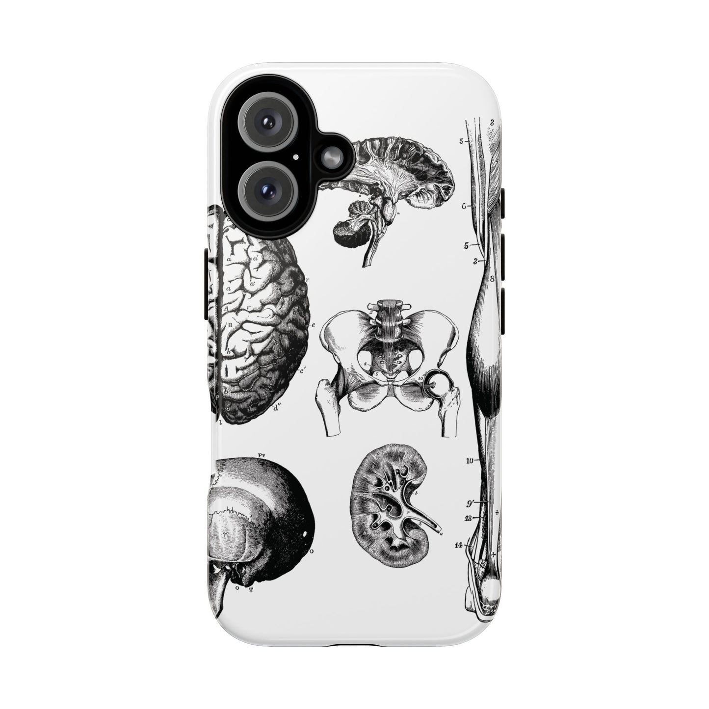 Vintage Anatomy Phone Case - Medical Sketch Design - Custom iPhone, Samsung & Pixel Cover - Science Gift - Doctor Aesthetic - Anatomy case