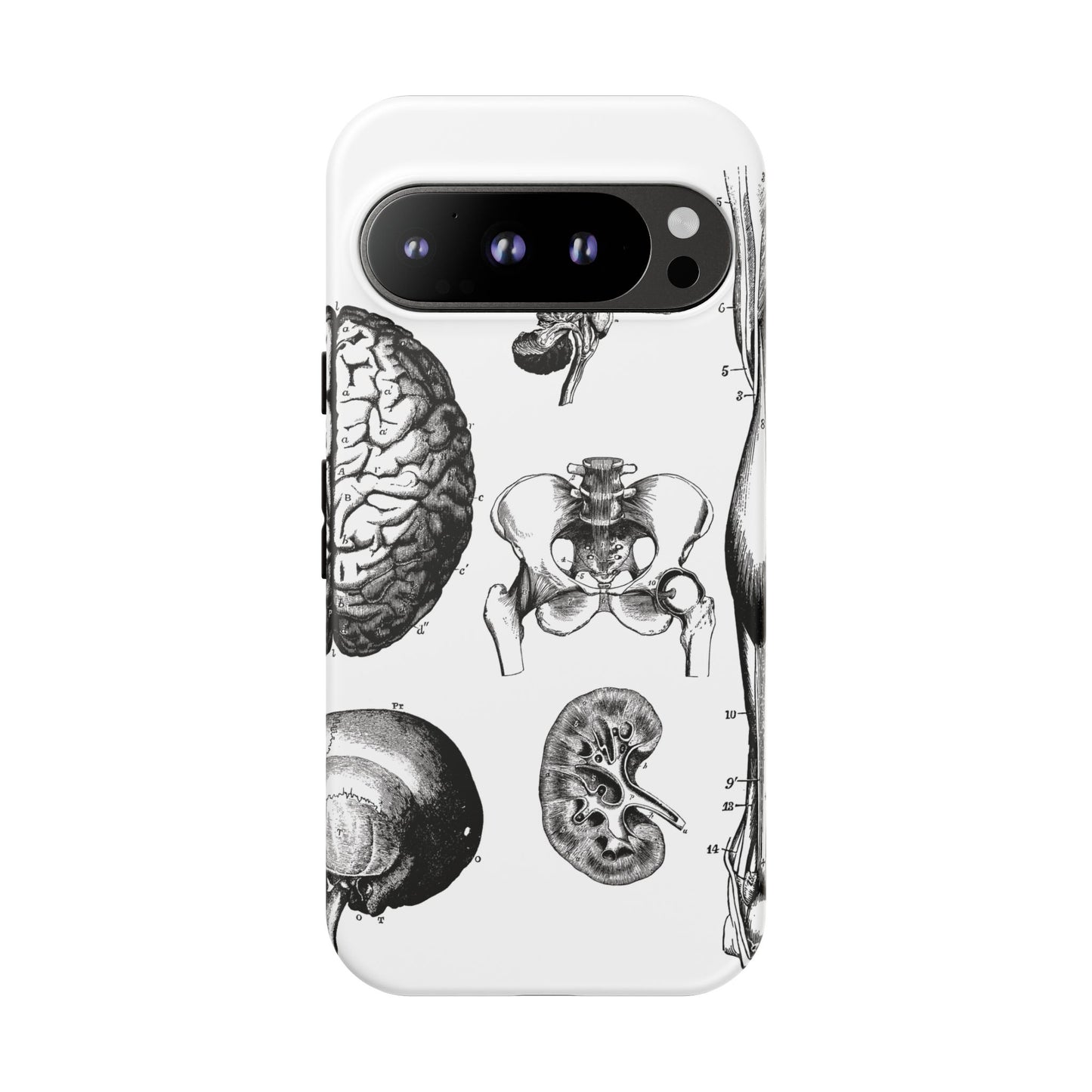 Vintage Anatomy Phone Case - Medical Sketch Design - Custom iPhone, Samsung & Pixel Cover - Science Gift - Doctor Aesthetic - Anatomy case