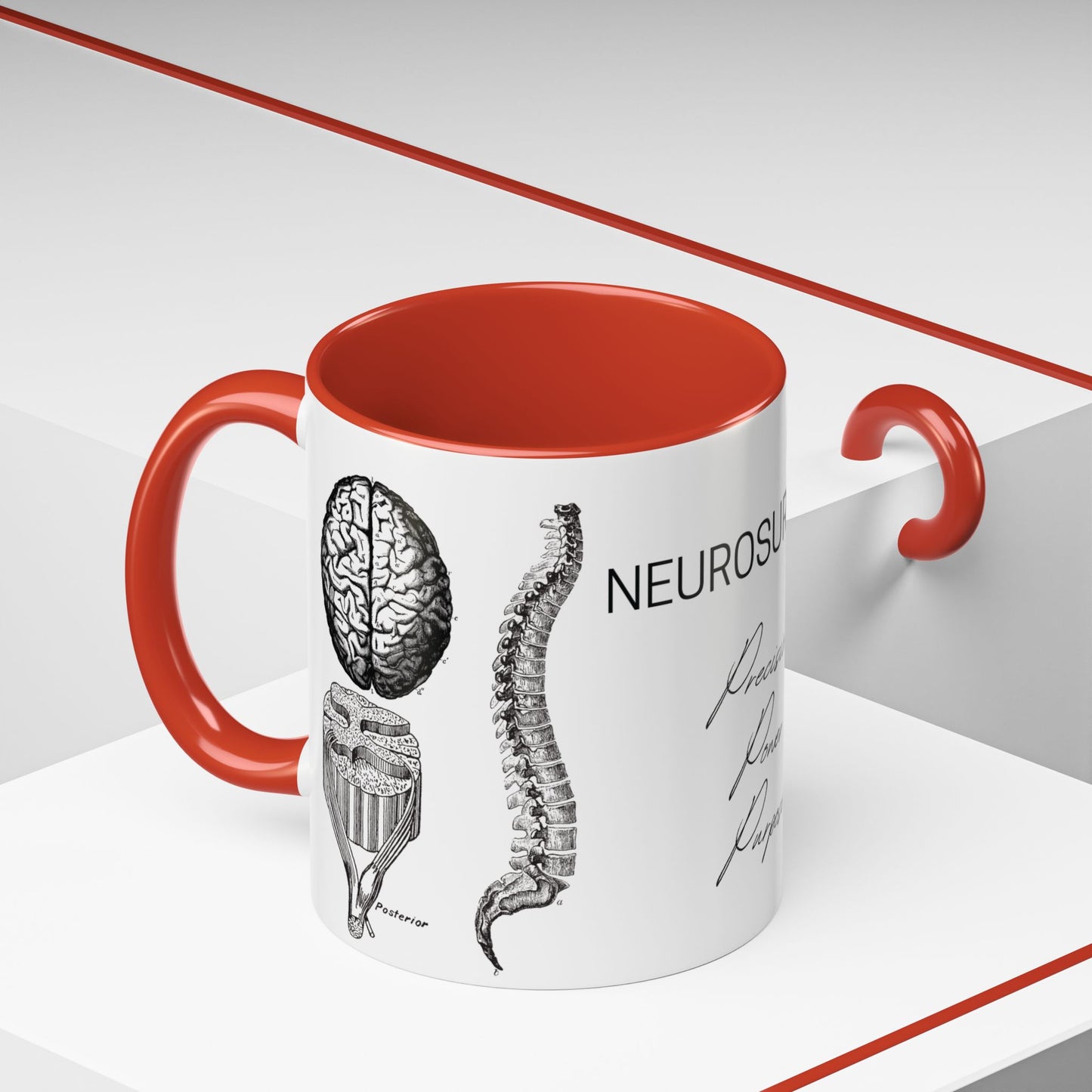 Neuro-Spine Mug, Anatomical Spine Illustration Cup, Neurosurgeon Gift Idea, Spine Surgery Mug, Doctor Appreciation, Medical Worker Gift
