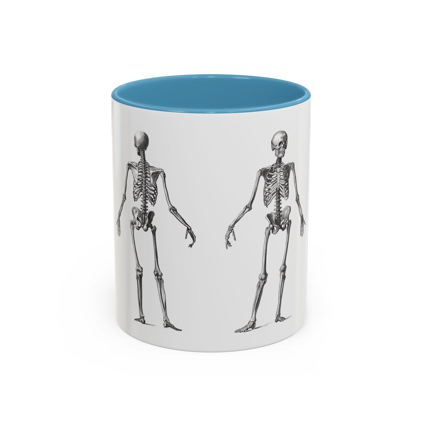 Anatomy Skeleton Accent Coffee Mug, Medical Student Doctor Nurse Gift, Anatomical Diagram, Halloween Mug, Biology Teacher Gift,