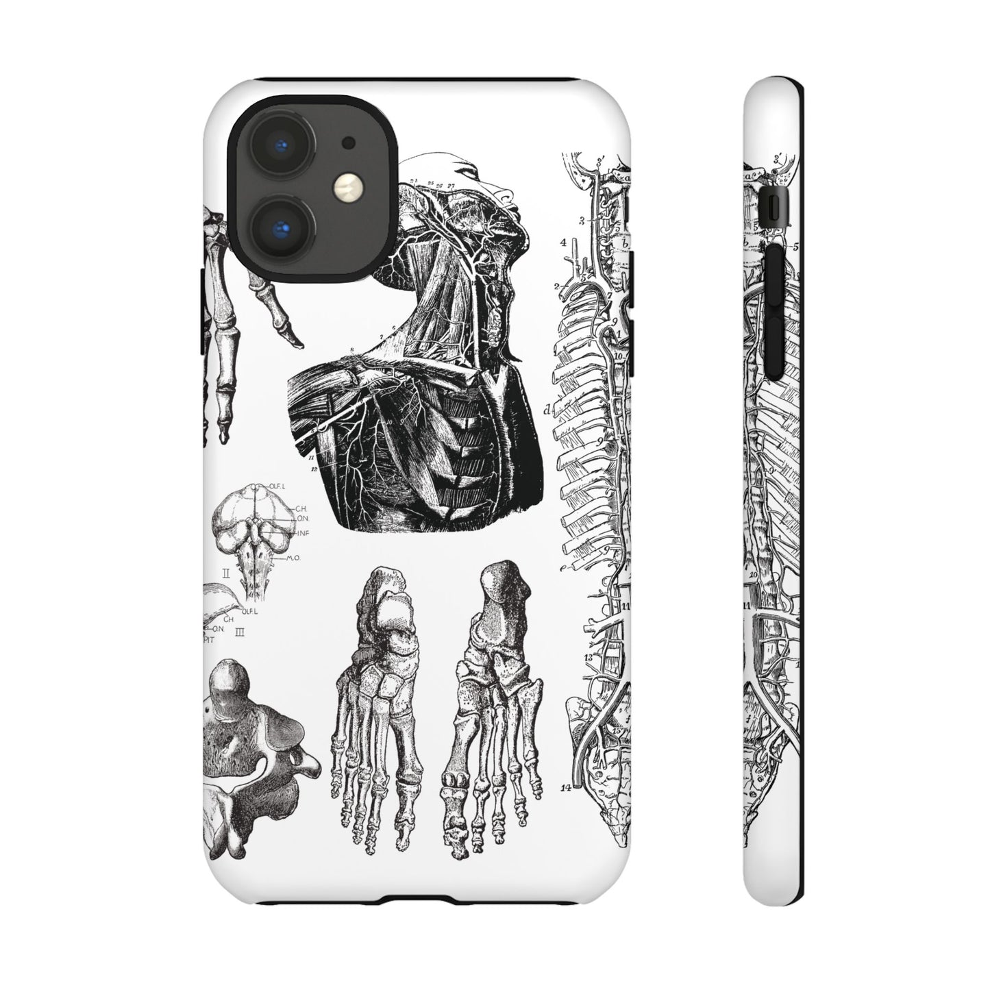 Vintage Anatomy Phone Case - Medical Illustration Design - Custom iPhone, Samsung & Pixel Cover - Science Gift - Doctor Aesthetic - Anatomy