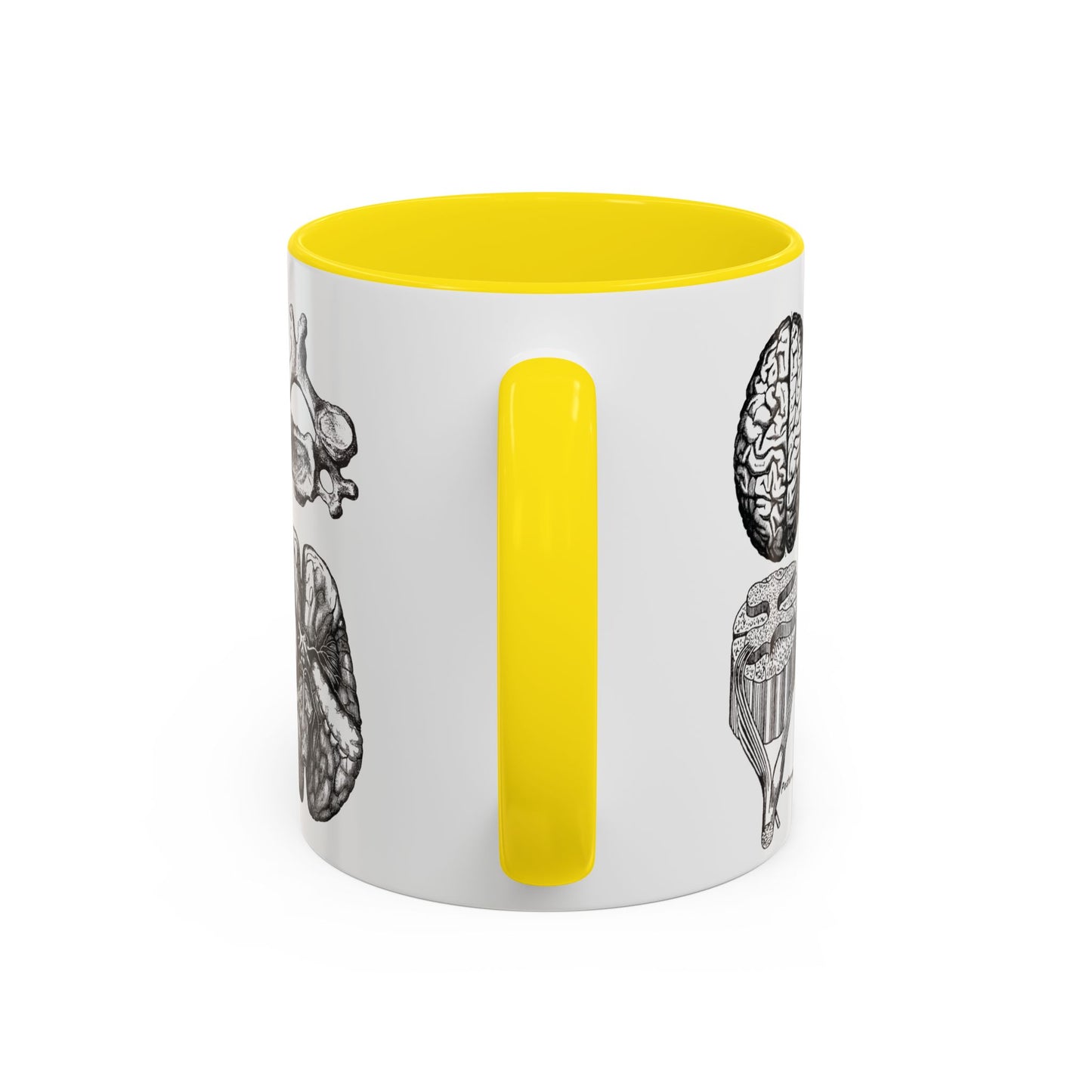 Neuro-Spine Mug, Anatomical Spine Illustration Cup, Neurosurgeon Gift Idea, Spine Surgery Mug, Doctor Appreciation, Medical Worker Gift