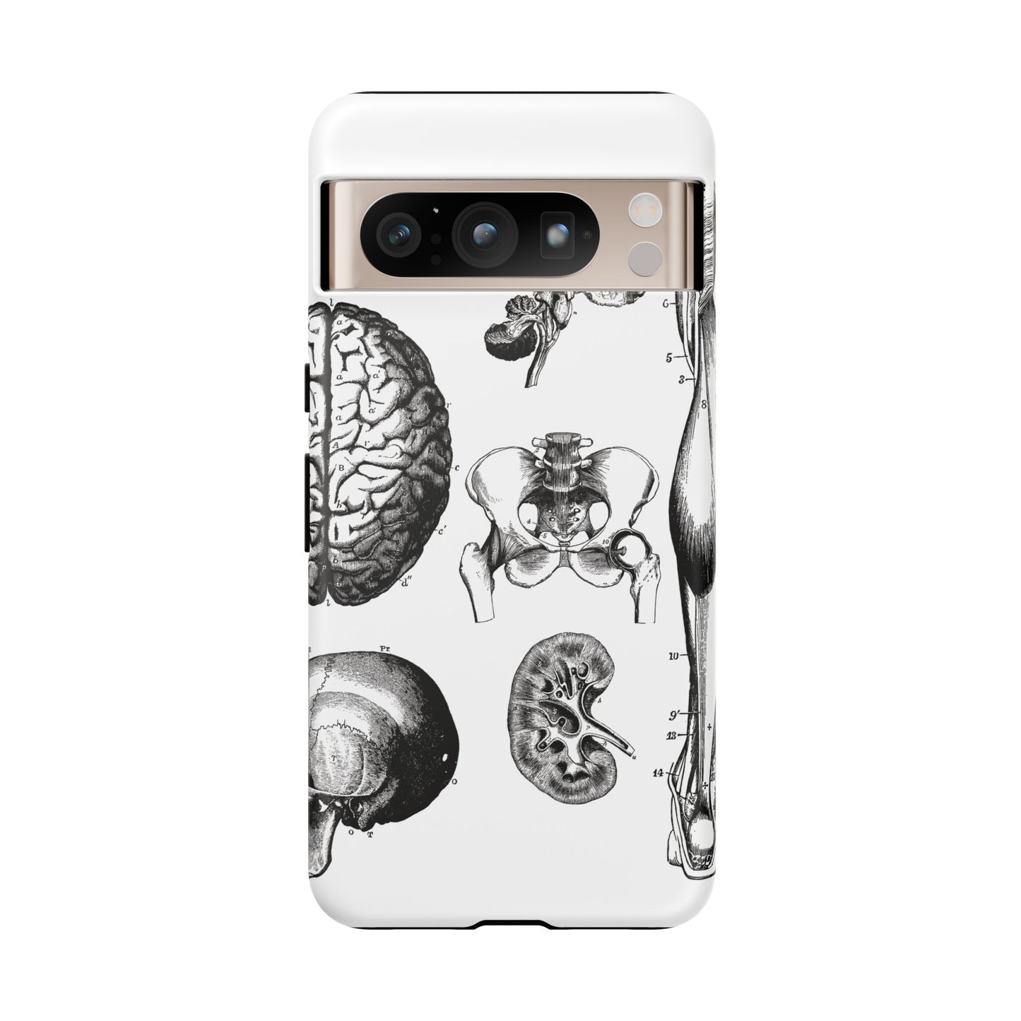 Vintage Anatomy Phone Case - Medical Sketch Design - Custom iPhone, Samsung & Pixel Cover - Science Gift - Doctor Aesthetic - Anatomy case