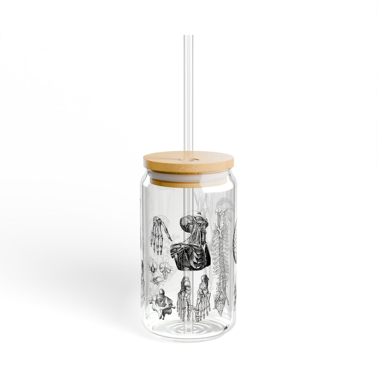 Anatomy Sipper Glass Tumbler with Bamboo Lid, Medical Student Gift, Anatomical Coffee Cup, Doctor Gift, Human Anatomy Iced Glass