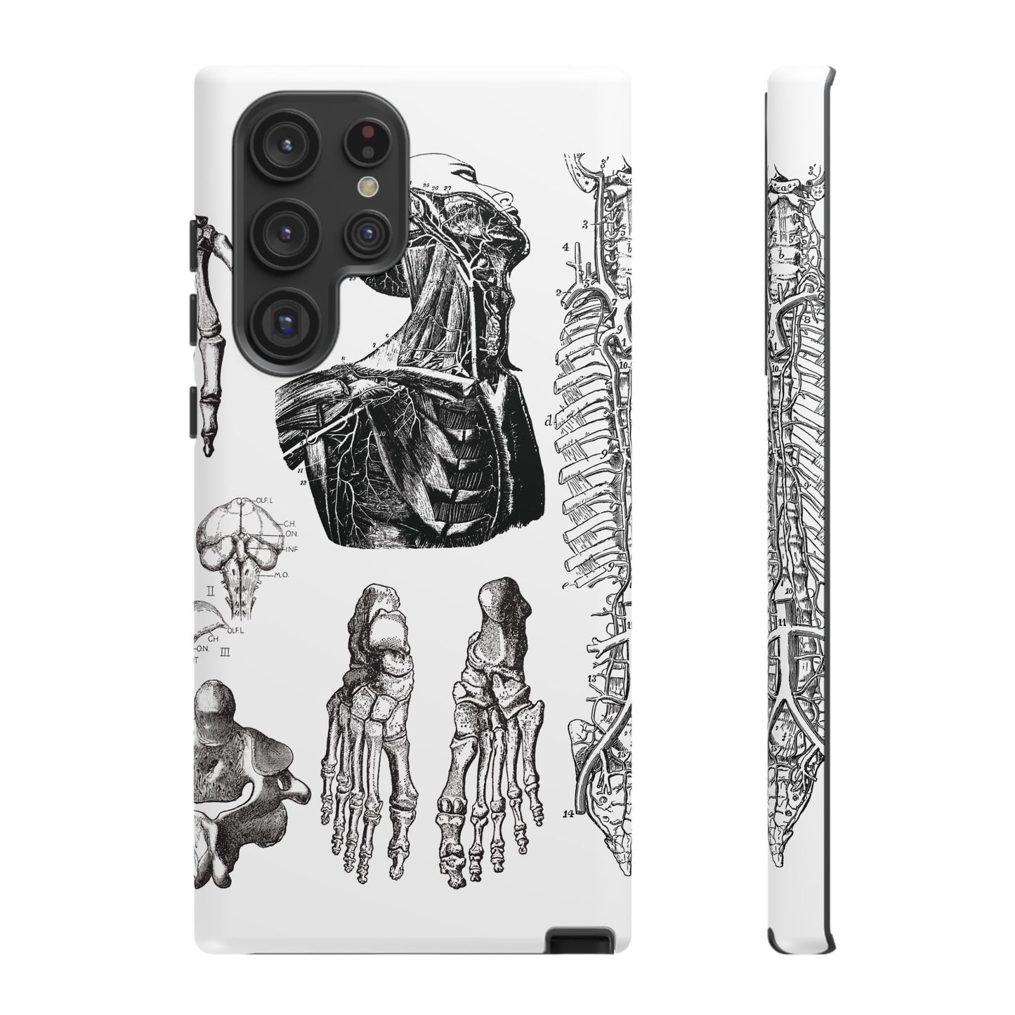 Vintage Anatomy Phone Case - Medical Illustration Design - Custom iPhone, Samsung & Pixel Cover - Science Gift - Doctor Aesthetic - Anatomy