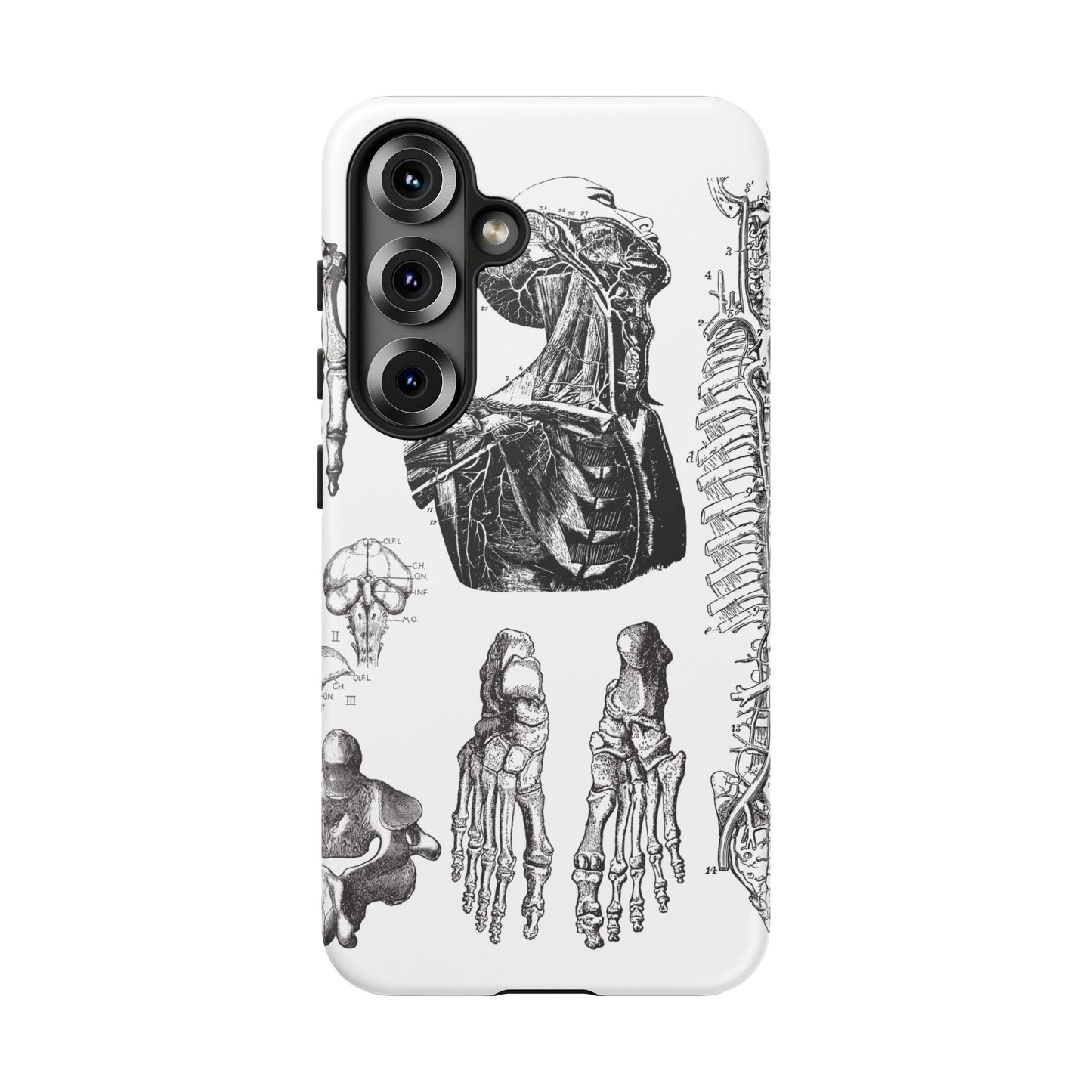 Vintage Anatomy Phone Case - Medical Illustration Design - Custom iPhone, Samsung & Pixel Cover - Science Gift - Doctor Aesthetic - Anatomy
