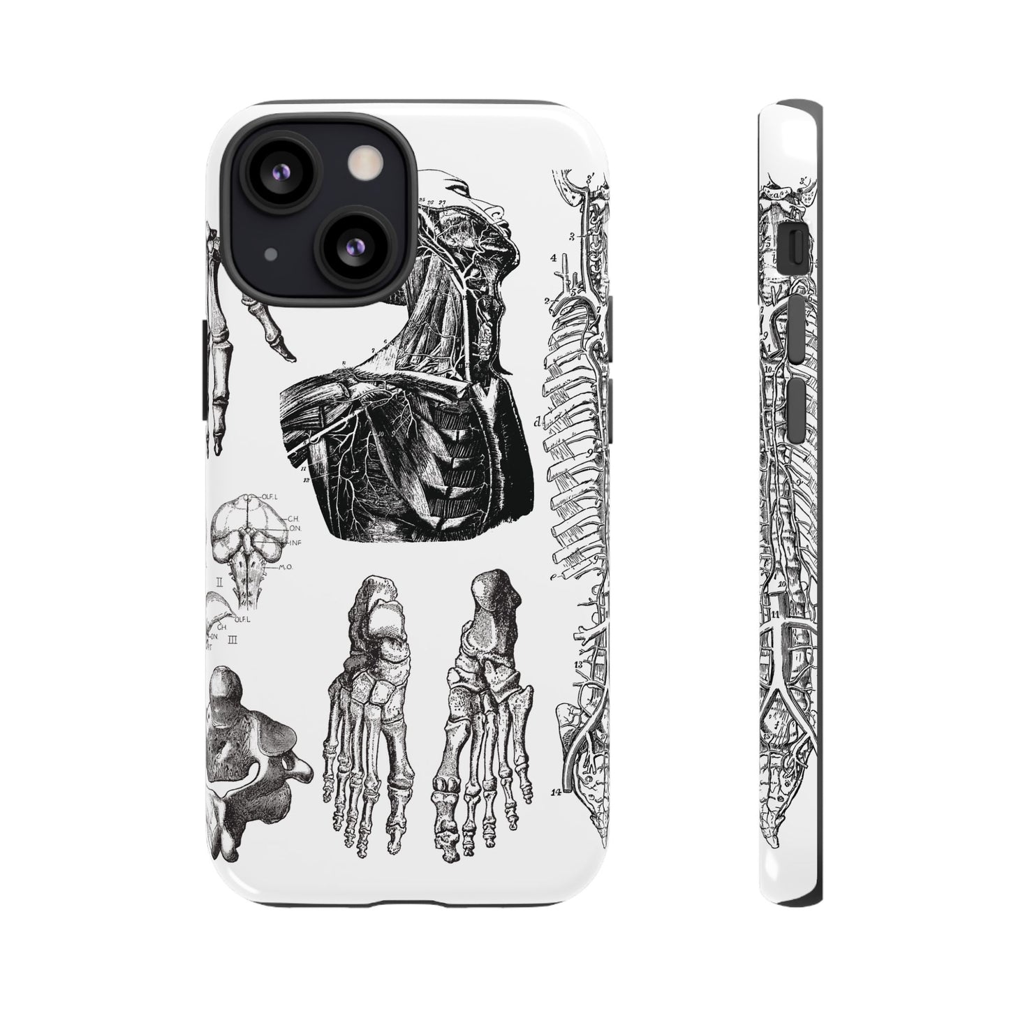 Vintage Anatomy Phone Case - Medical Illustration Design - Custom iPhone, Samsung & Pixel Cover - Science Gift - Doctor Aesthetic - Anatomy