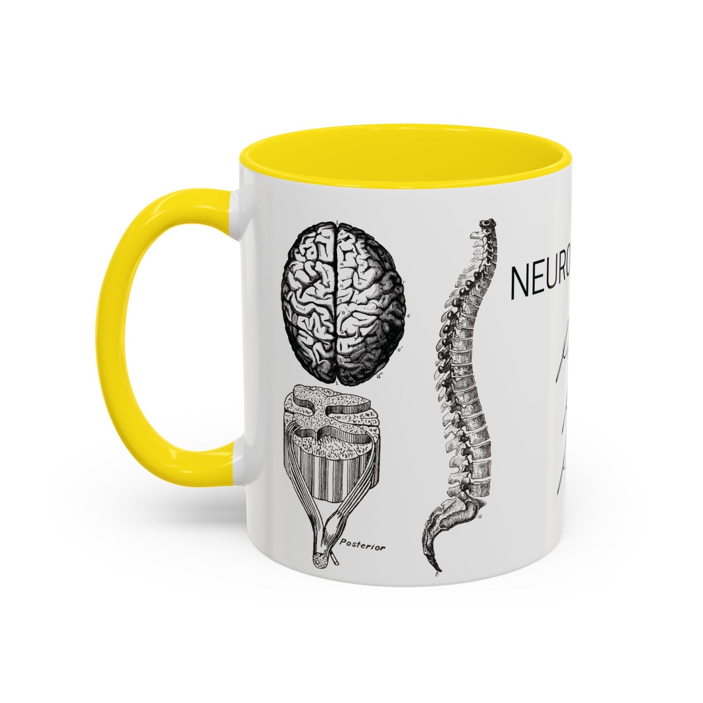 Neuro-Spine Mug, Anatomical Spine Illustration Cup, Neurosurgeon Gift Idea, Spine Surgery Mug, Doctor Appreciation, Medical Worker Gift