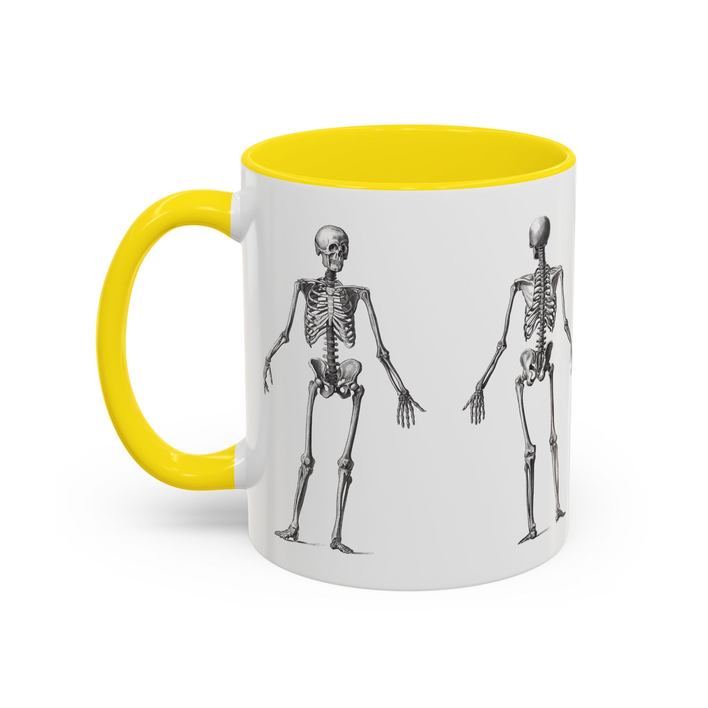 Anatomy Skeleton Accent Coffee Mug, Medical Student Doctor Nurse Gift, Anatomical Diagram, Halloween Mug, Biology Teacher Gift,
