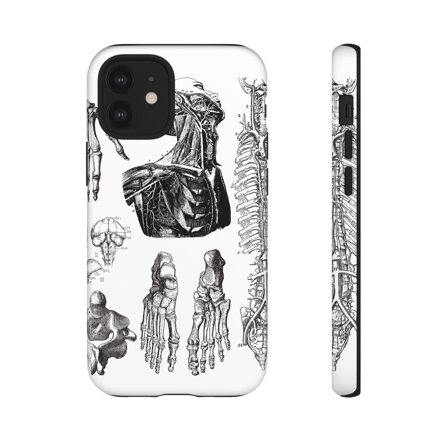 Vintage Anatomy Phone Case - Medical Illustration Design - Custom iPhone, Samsung & Pixel Cover - Science Gift - Doctor Aesthetic - Anatomy