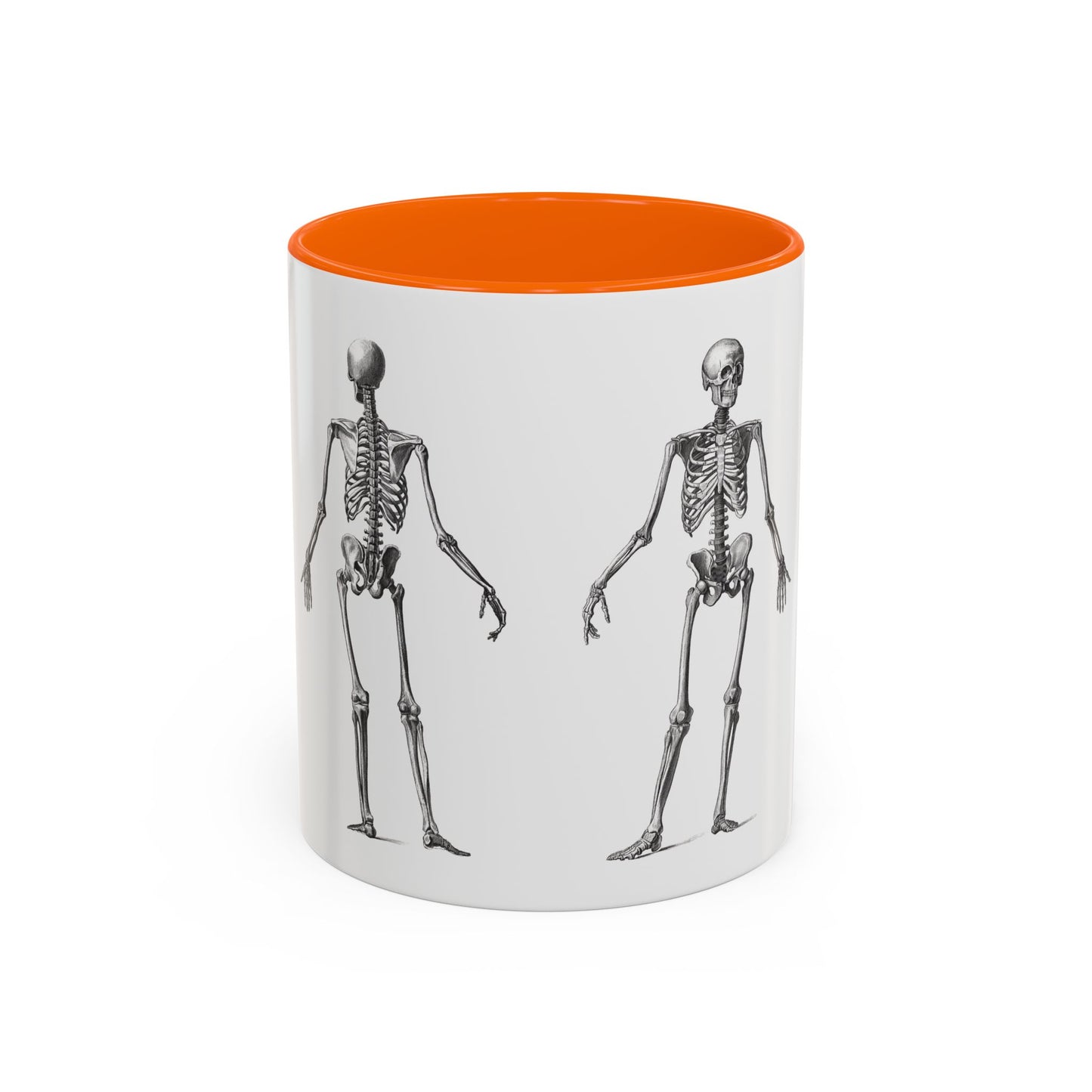 Anatomy Skeleton Accent Coffee Mug, Medical Student Doctor Nurse Gift, Anatomical Diagram, Halloween Mug, Biology Teacher Gift,