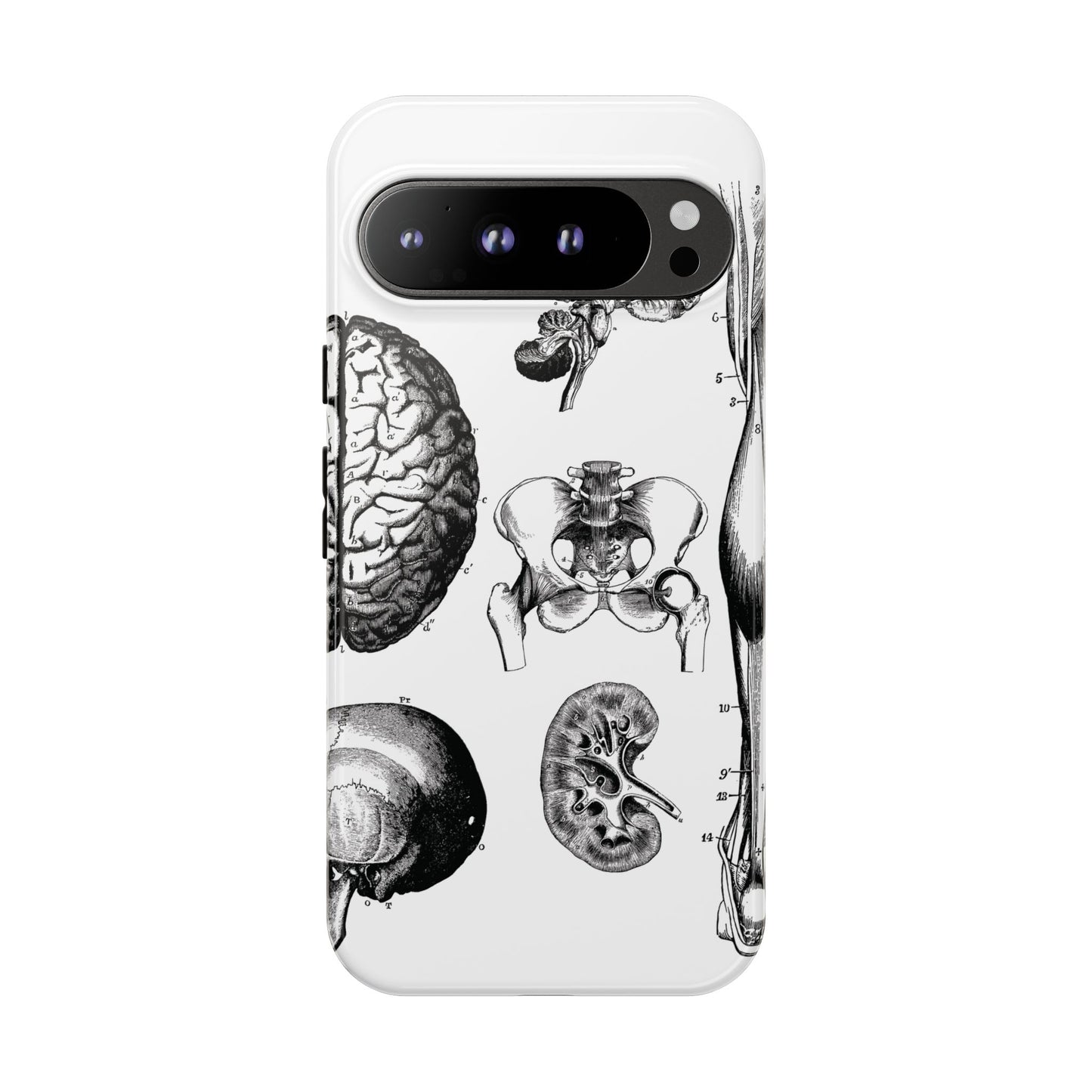 Vintage Anatomy Phone Case - Medical Sketch Design - Custom iPhone, Samsung & Pixel Cover - Science Gift - Doctor Aesthetic - Anatomy case