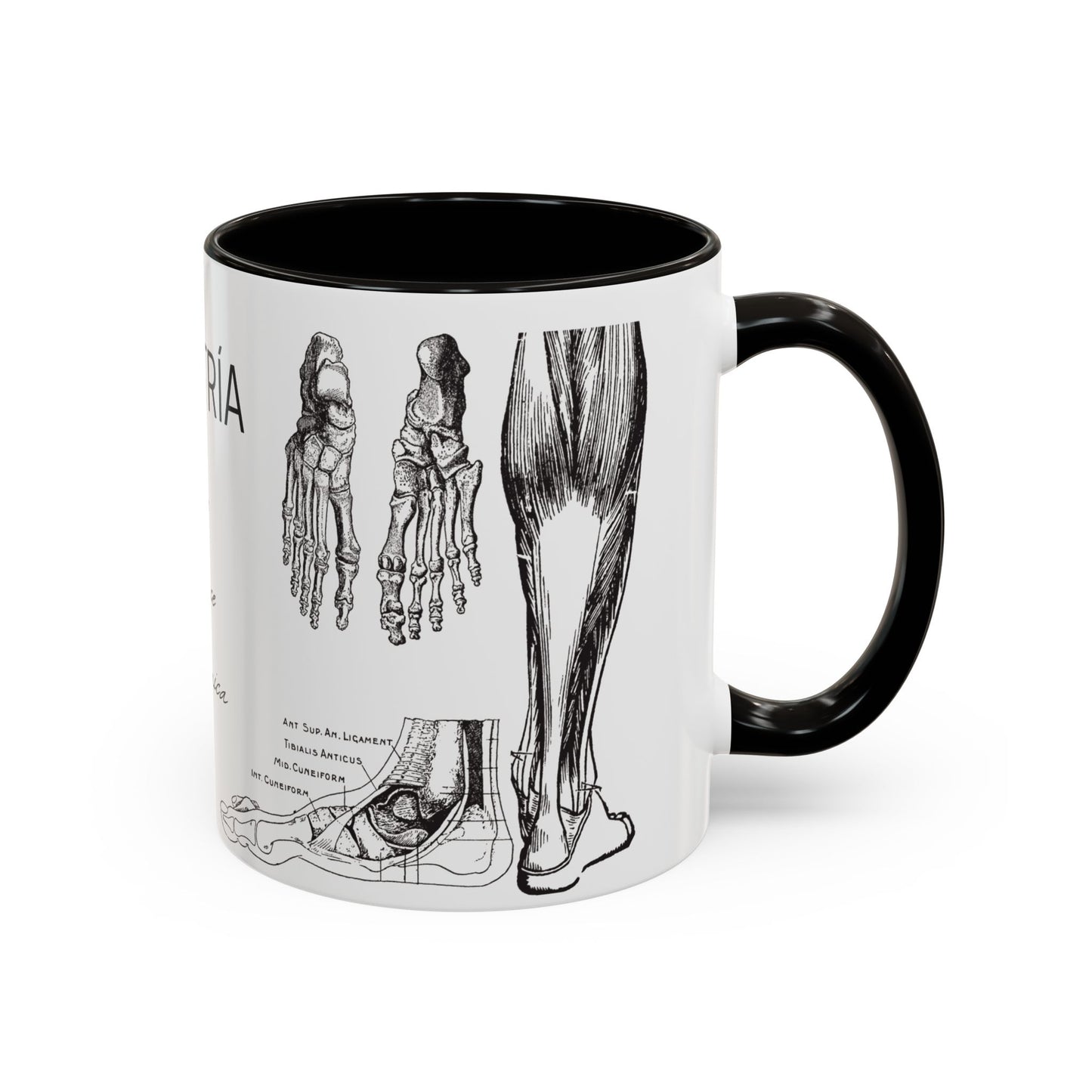 Taza Podología Pie Anatómico, Regalo Podólogo, Taza Anatomía Médica, Taza Doctor, Taza Estudiante Medicina, Personal Sanitario
