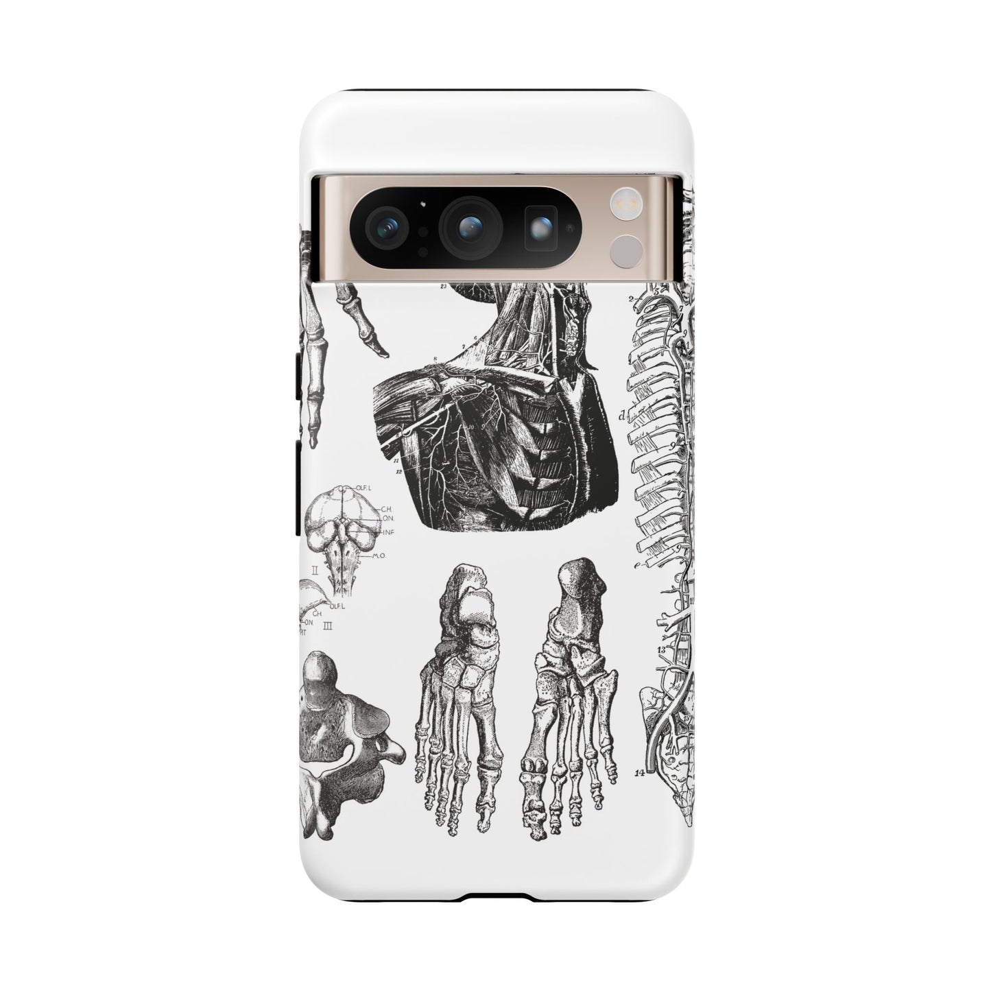 Vintage Anatomy Phone Case - Medical Illustration Design - Custom iPhone, Samsung & Pixel Cover - Science Gift - Doctor Aesthetic - Anatomy