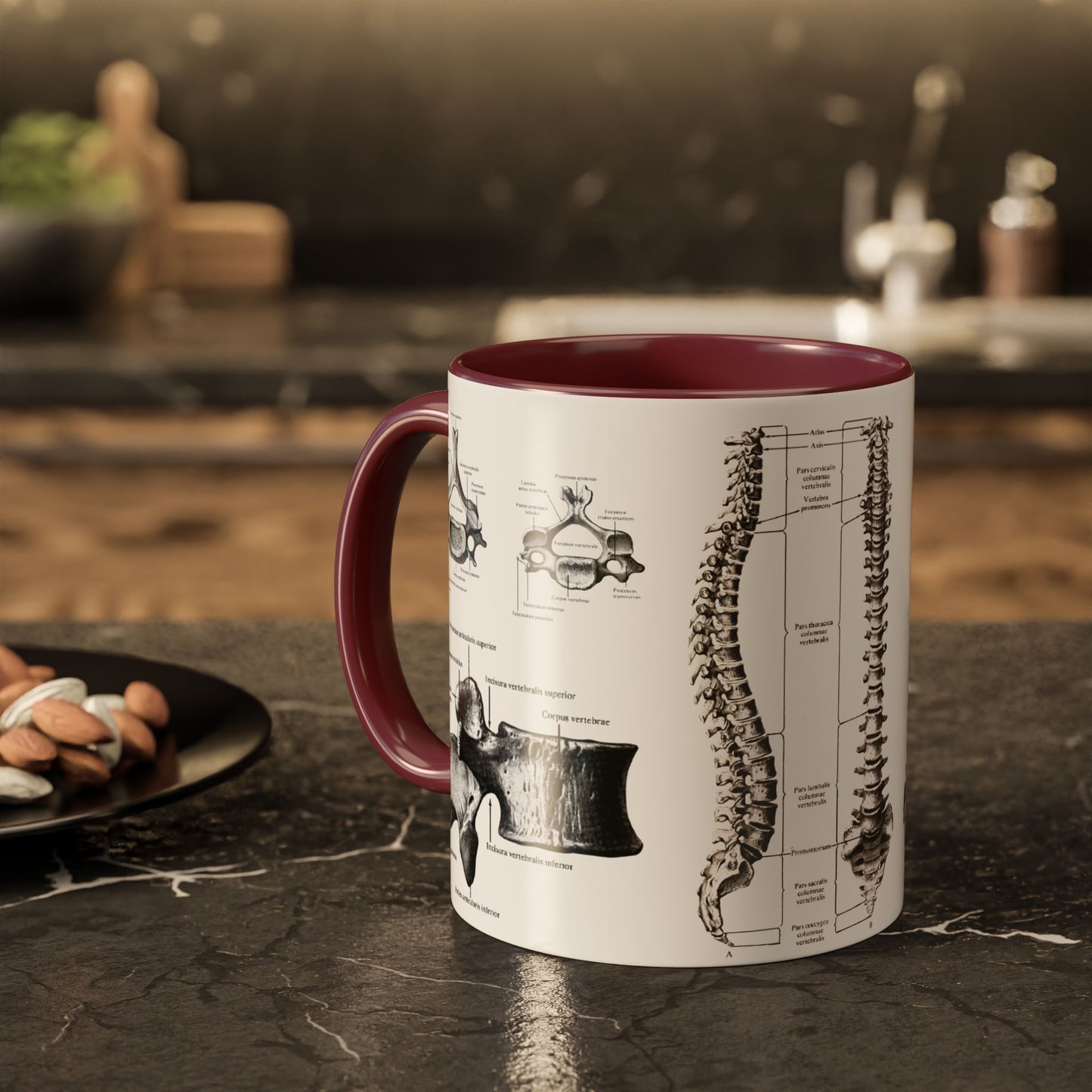 Anatomical Spine Mug, Medical Student Gift, Doctor, Nurse, Neurosurgeon