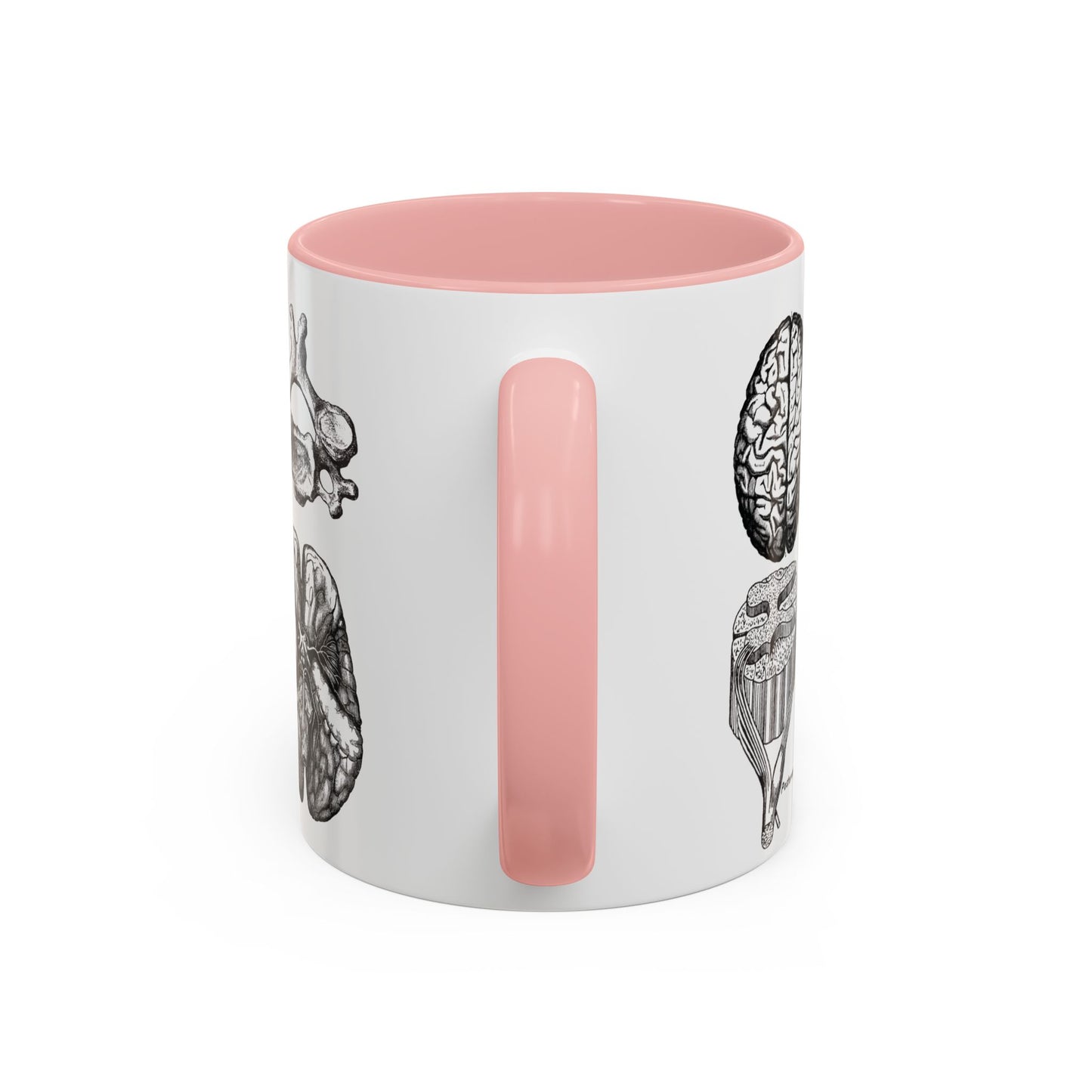 Neuro-Spine Mug, Anatomical Spine Illustration Cup, Neurosurgeon Gift Idea, Spine Surgery Mug, Doctor Appreciation, Medical Worker Gift