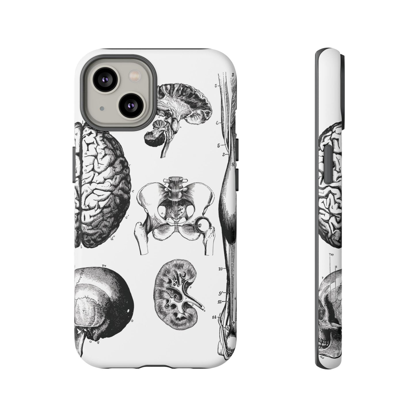 Vintage Anatomy Phone Case - Medical Sketch Design - Custom iPhone, Samsung & Pixel Cover - Science Gift - Doctor Aesthetic - Anatomy case