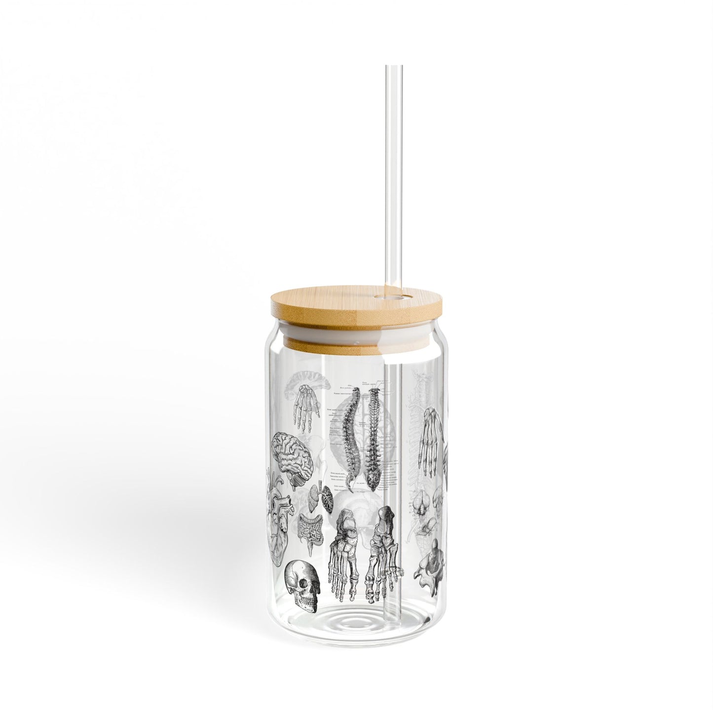 Anatomy Sipper Glass Tumbler with Bamboo Lid, Medical Student Gift, Anatomical Coffee Cup, Doctor Gift, Human Anatomy Iced Glass