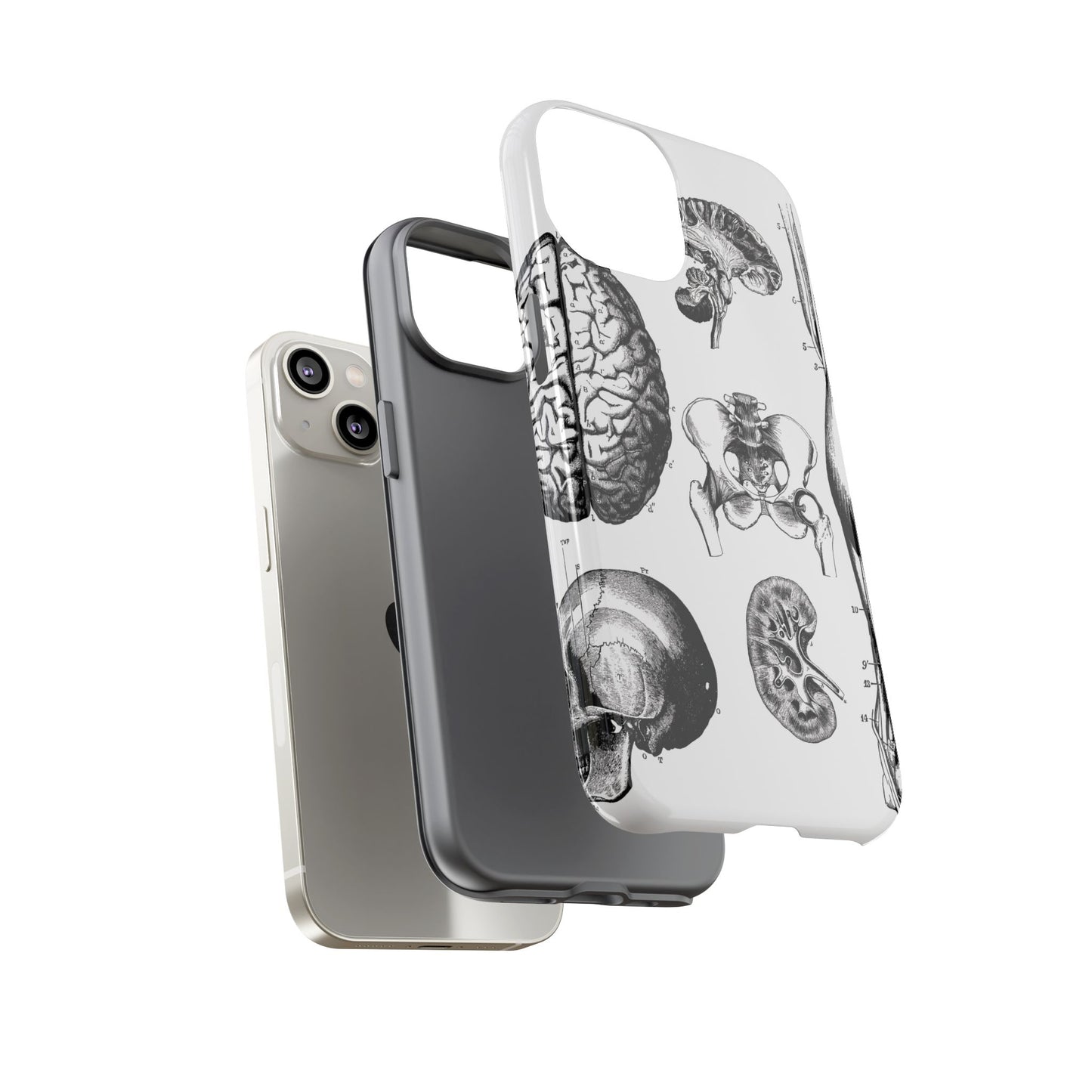 Vintage Anatomy Phone Case - Medical Sketch Design - Custom iPhone, Samsung & Pixel Cover - Science Gift - Doctor Aesthetic - Anatomy case