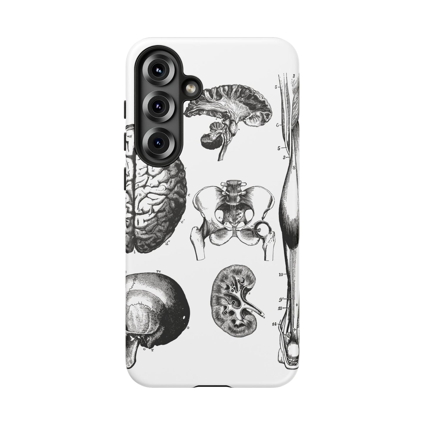 Vintage Anatomy Phone Case - Medical Sketch Design - Custom iPhone, Samsung & Pixel Cover - Science Gift - Doctor Aesthetic - Anatomy case