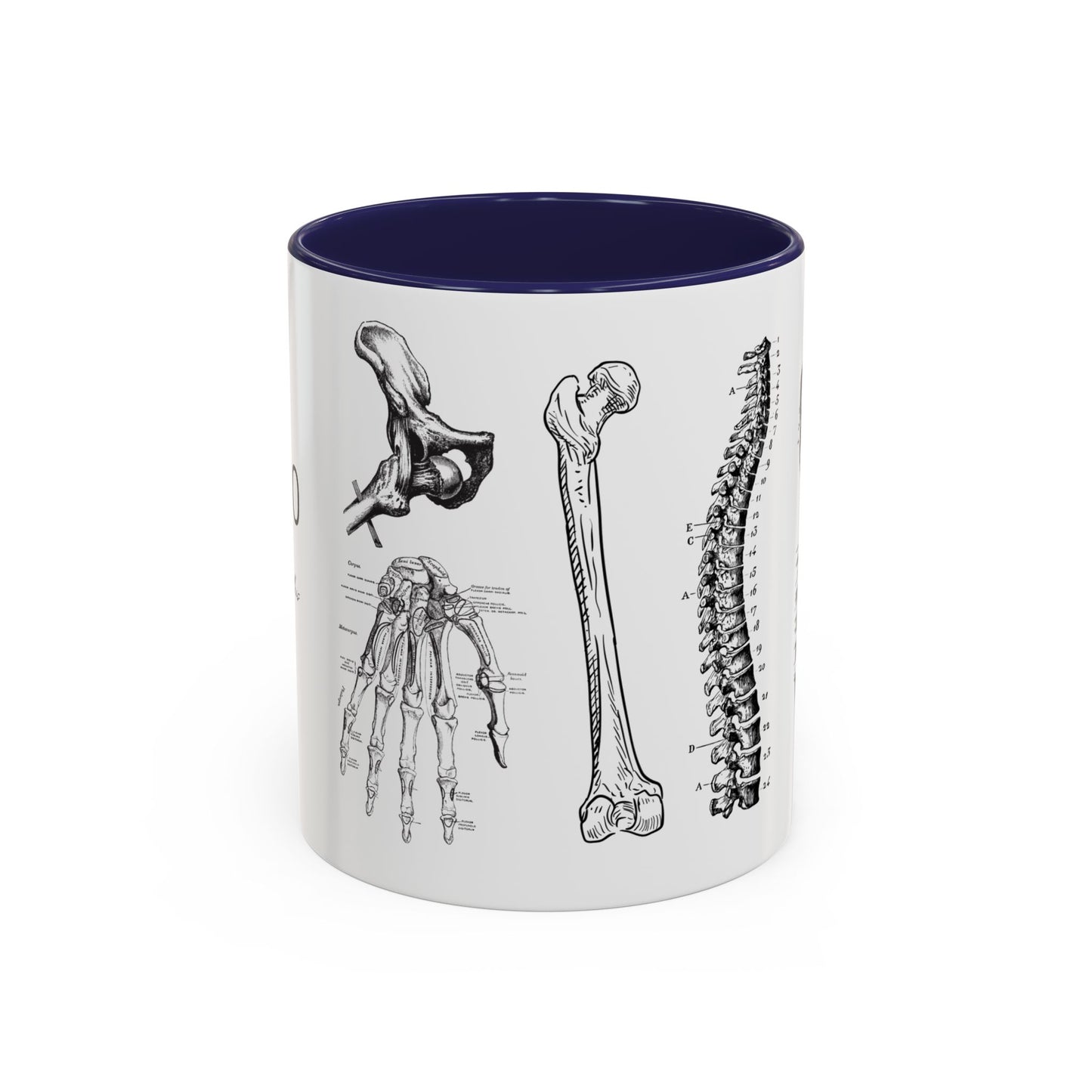 Orthopedic Surgery Mug, Bone Anatomy Coffee Cup, Orthopedist Gift Idea, Medical Anatomy Mug, Doctor Appreciation, Healthcare Worker Gift