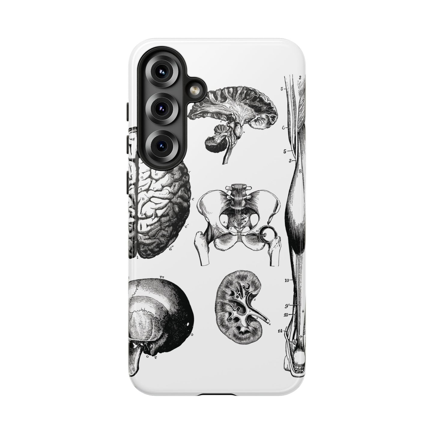Vintage Anatomy Phone Case - Medical Sketch Design - Custom iPhone, Samsung & Pixel Cover - Science Gift - Doctor Aesthetic - Anatomy case