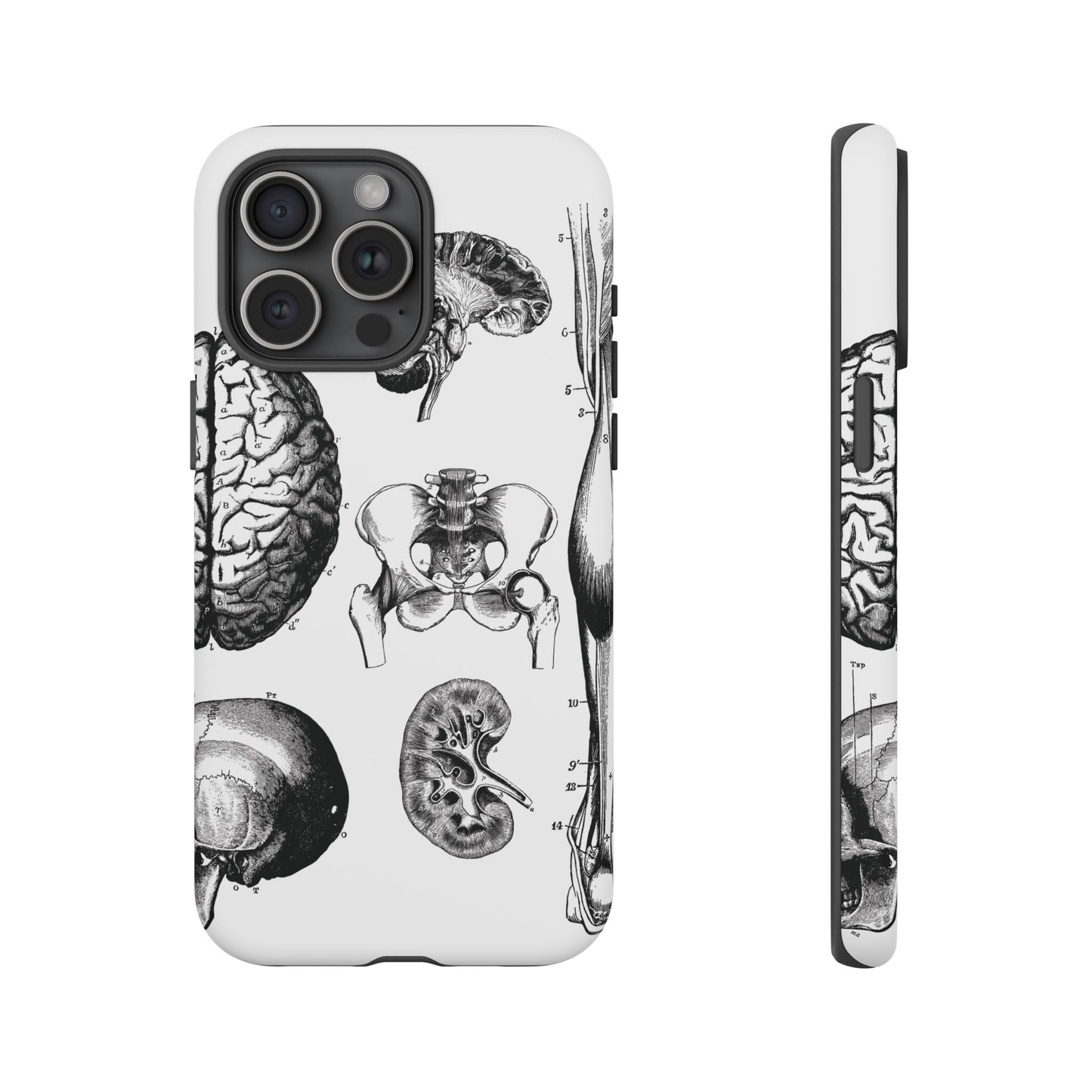 Vintage Anatomy Phone Case - Medical Sketch Design - Custom iPhone, Samsung & Pixel Cover - Science Gift - Doctor Aesthetic - Anatomy case
