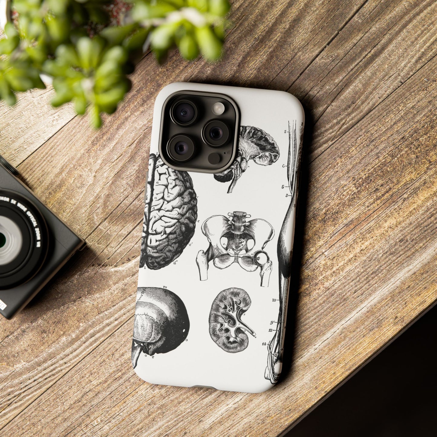 Vintage Anatomy Phone Case - Medical Sketch Design - Custom iPhone, Samsung & Pixel Cover - Science Gift - Doctor Aesthetic - Anatomy case