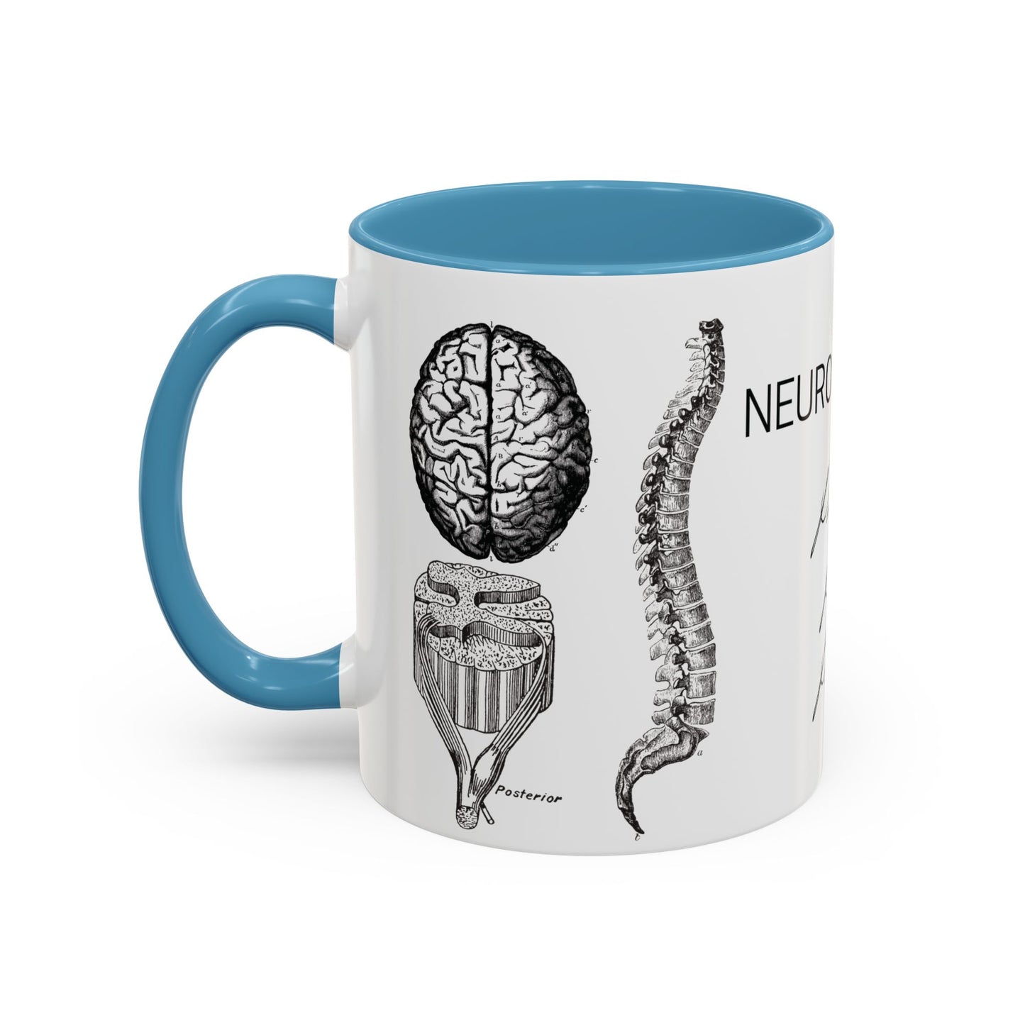 Neuro-Spine Mug, Anatomical Spine Illustration Cup, Neurosurgeon Gift Idea, Spine Surgery Mug, Doctor Appreciation, Medical Worker Gift