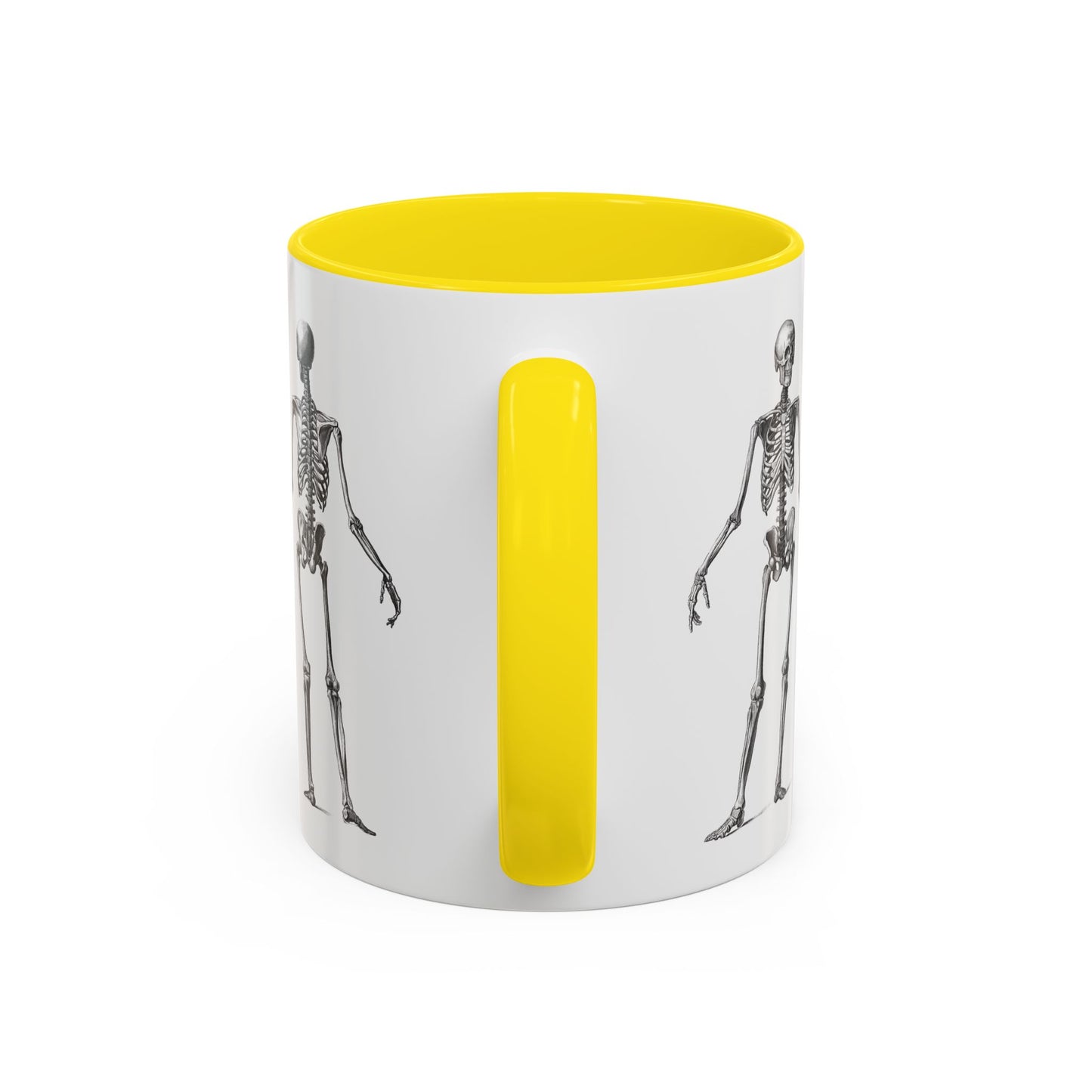 Anatomy Skeleton Accent Coffee Mug, Medical Student Doctor Nurse Gift, Anatomical Diagram, Halloween Mug, Biology Teacher Gift,