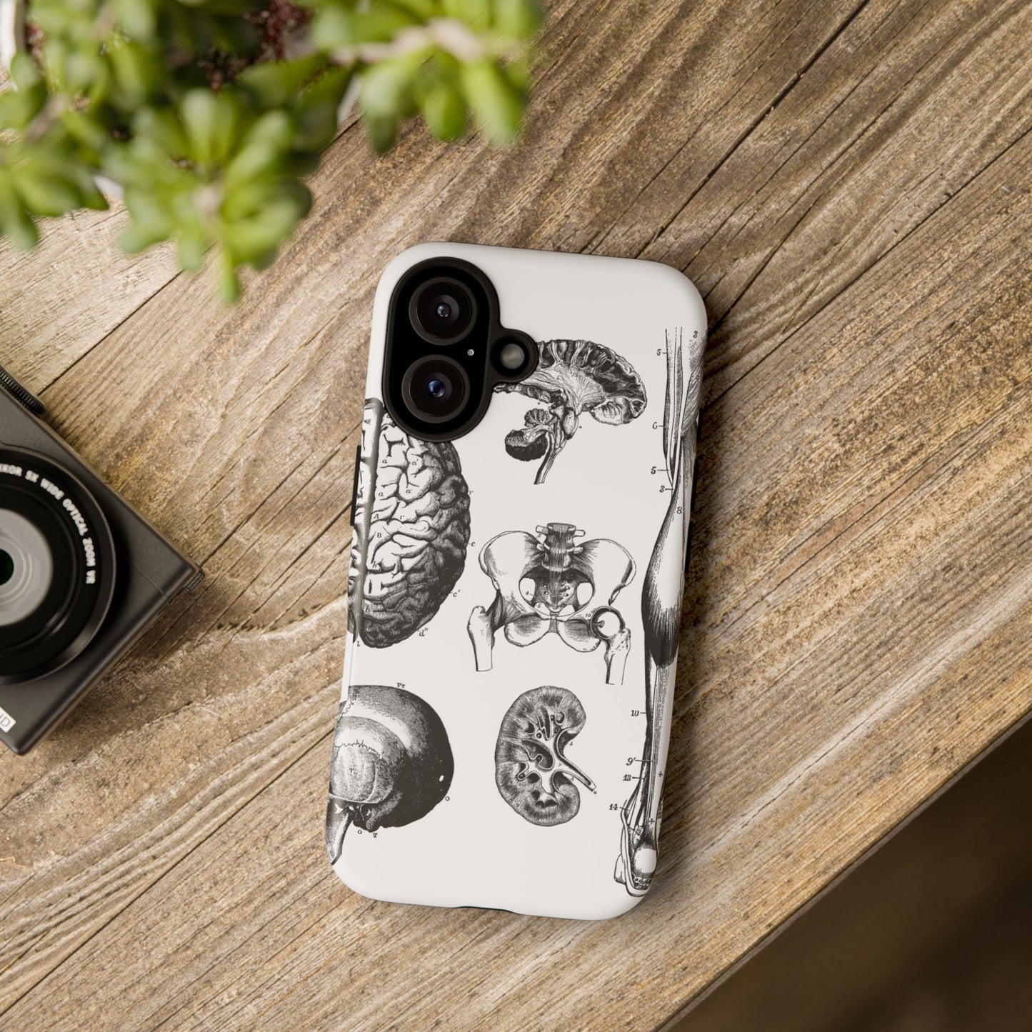 Vintage Anatomy Phone Case - Medical Sketch Design - Custom iPhone, Samsung & Pixel Cover - Science Gift - Doctor Aesthetic - Anatomy case