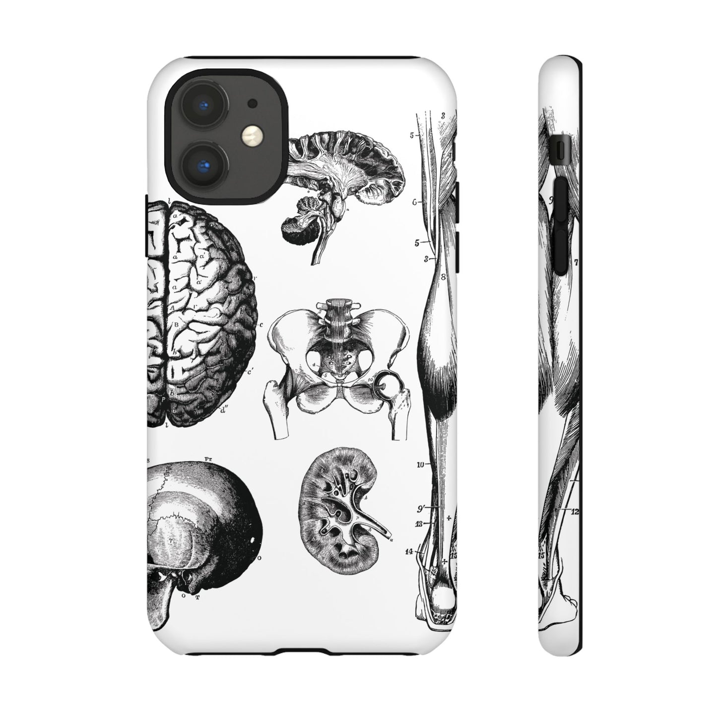 Vintage Anatomy Phone Case - Medical Sketch Design - Custom iPhone, Samsung & Pixel Cover - Science Gift - Doctor Aesthetic - Anatomy case