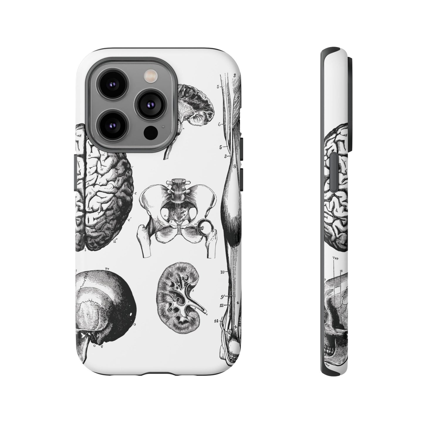 Vintage Anatomy Phone Case - Medical Sketch Design - Custom iPhone, Samsung & Pixel Cover - Science Gift - Doctor Aesthetic - Anatomy case