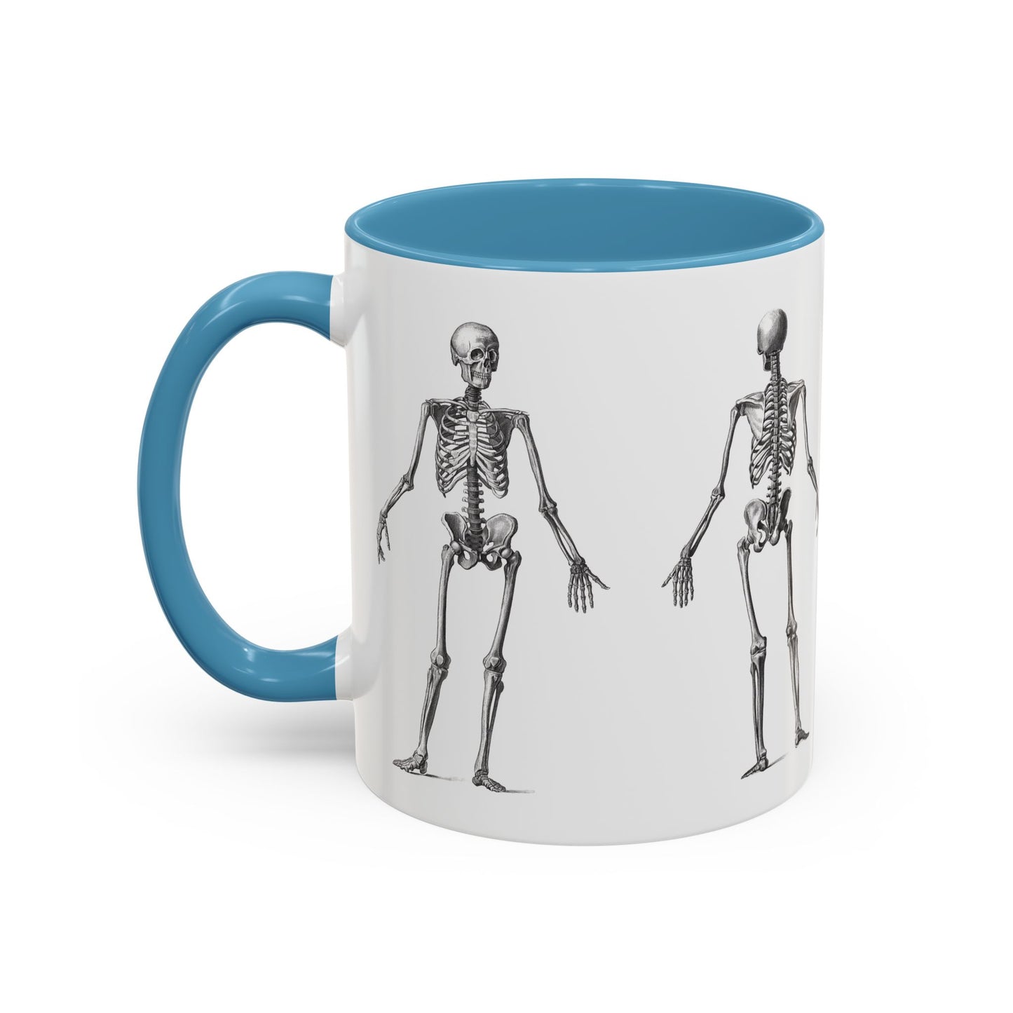 Anatomy Skeleton Accent Coffee Mug, Medical Student Doctor Nurse Gift, Anatomical Diagram, Halloween Mug, Biology Teacher Gift,