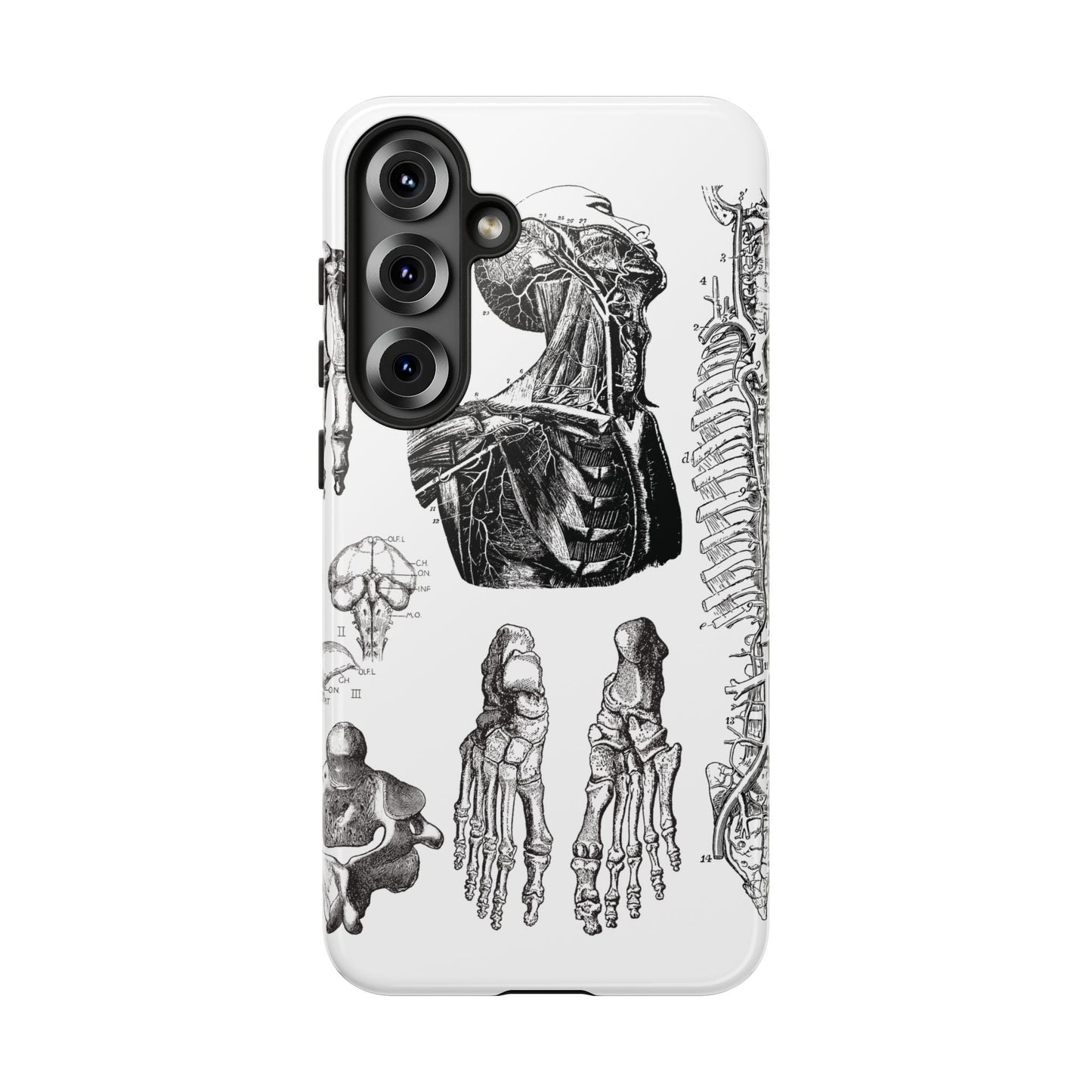 Vintage Anatomy Phone Case - Medical Illustration Design - Custom iPhone, Samsung & Pixel Cover - Science Gift - Doctor Aesthetic - Anatomy