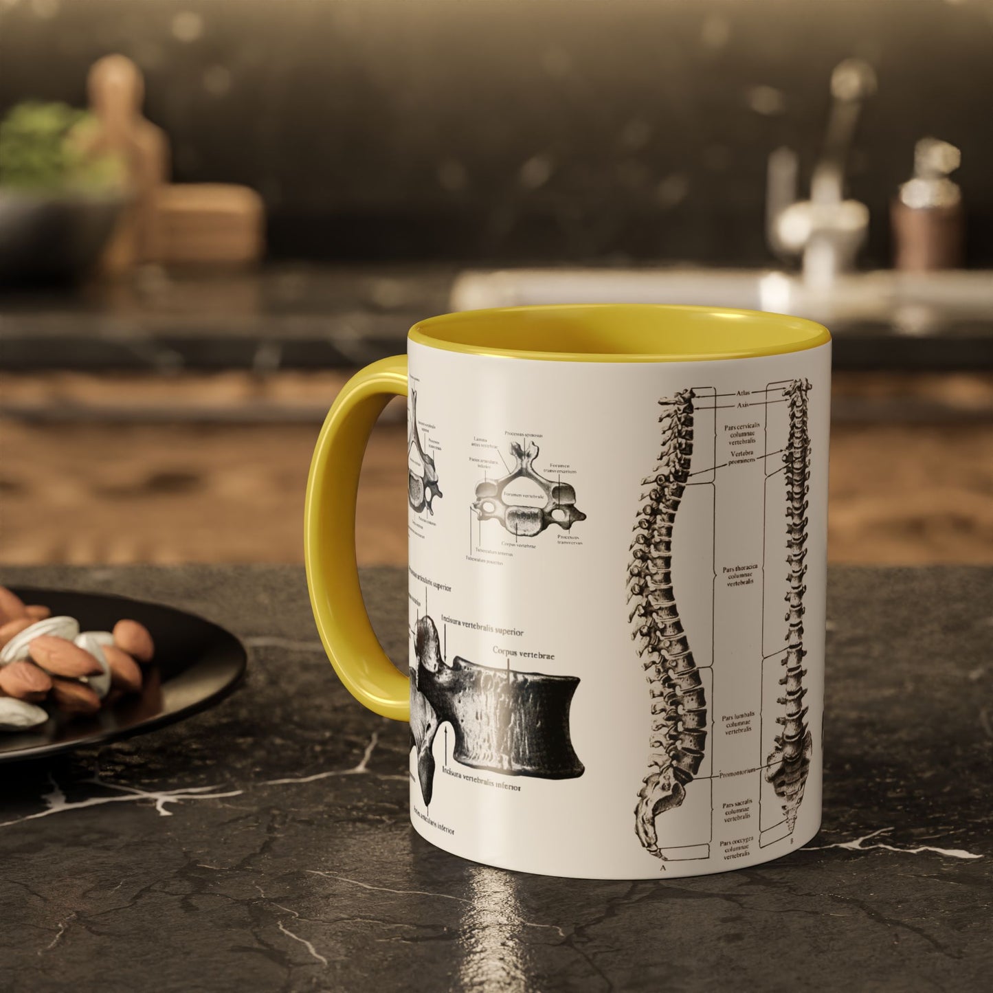 Anatomical Spine Mug, Medical Student Gift, Doctor, Nurse, Neurosurgeon