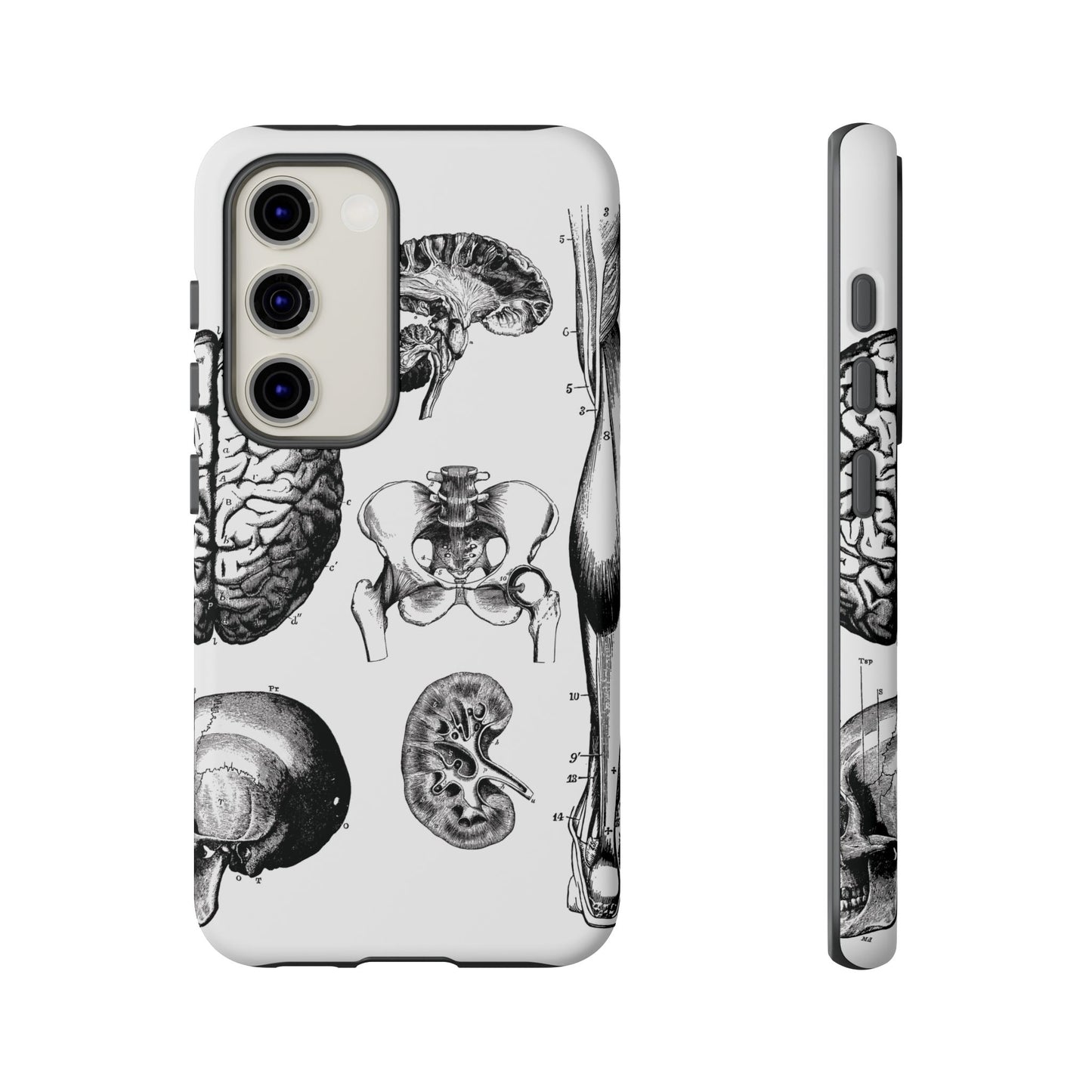 Vintage Anatomy Phone Case - Medical Sketch Design - Custom iPhone, Samsung & Pixel Cover - Science Gift - Doctor Aesthetic - Anatomy case