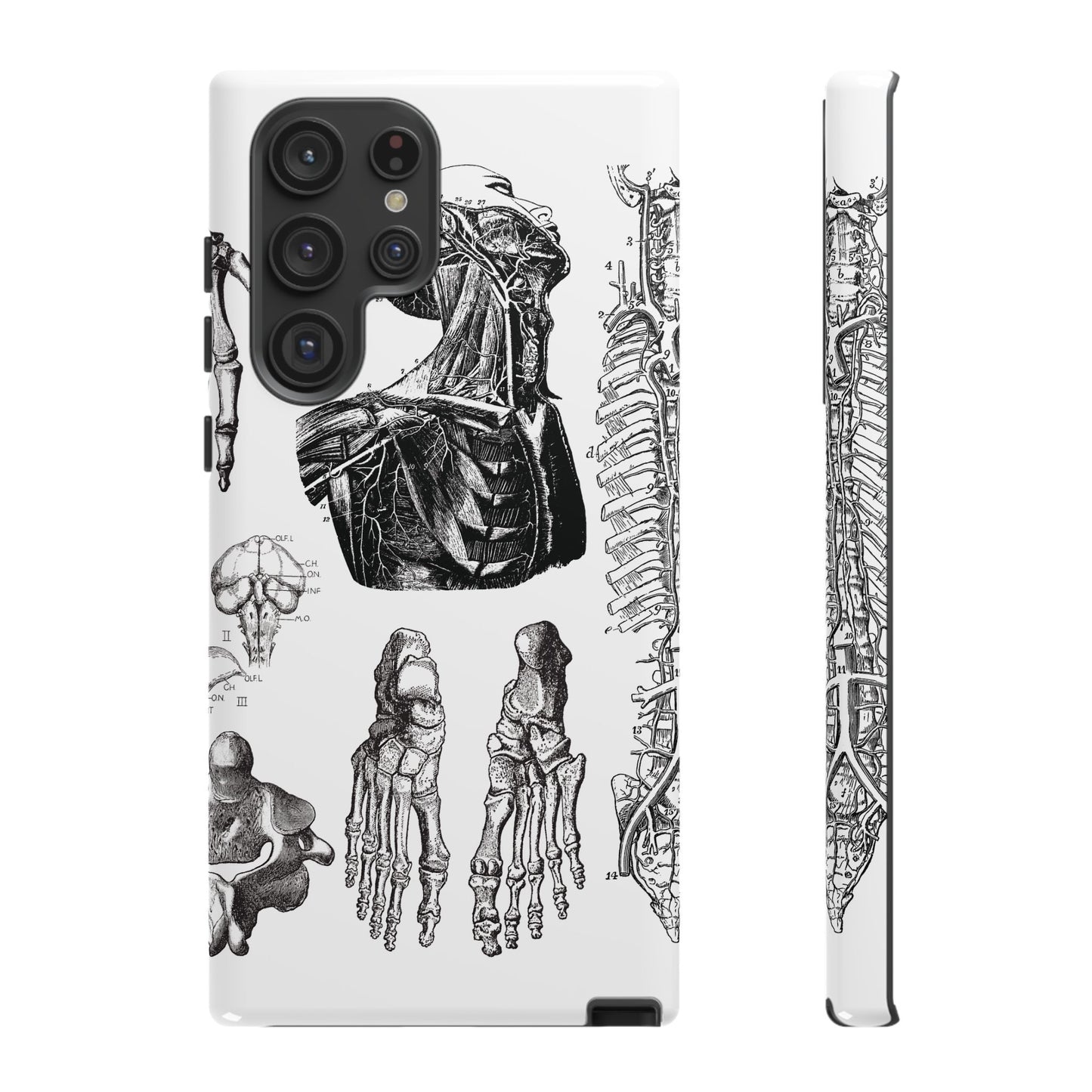 Vintage Anatomy Phone Case - Medical Illustration Design - Custom iPhone, Samsung & Pixel Cover - Science Gift - Doctor Aesthetic - Anatomy