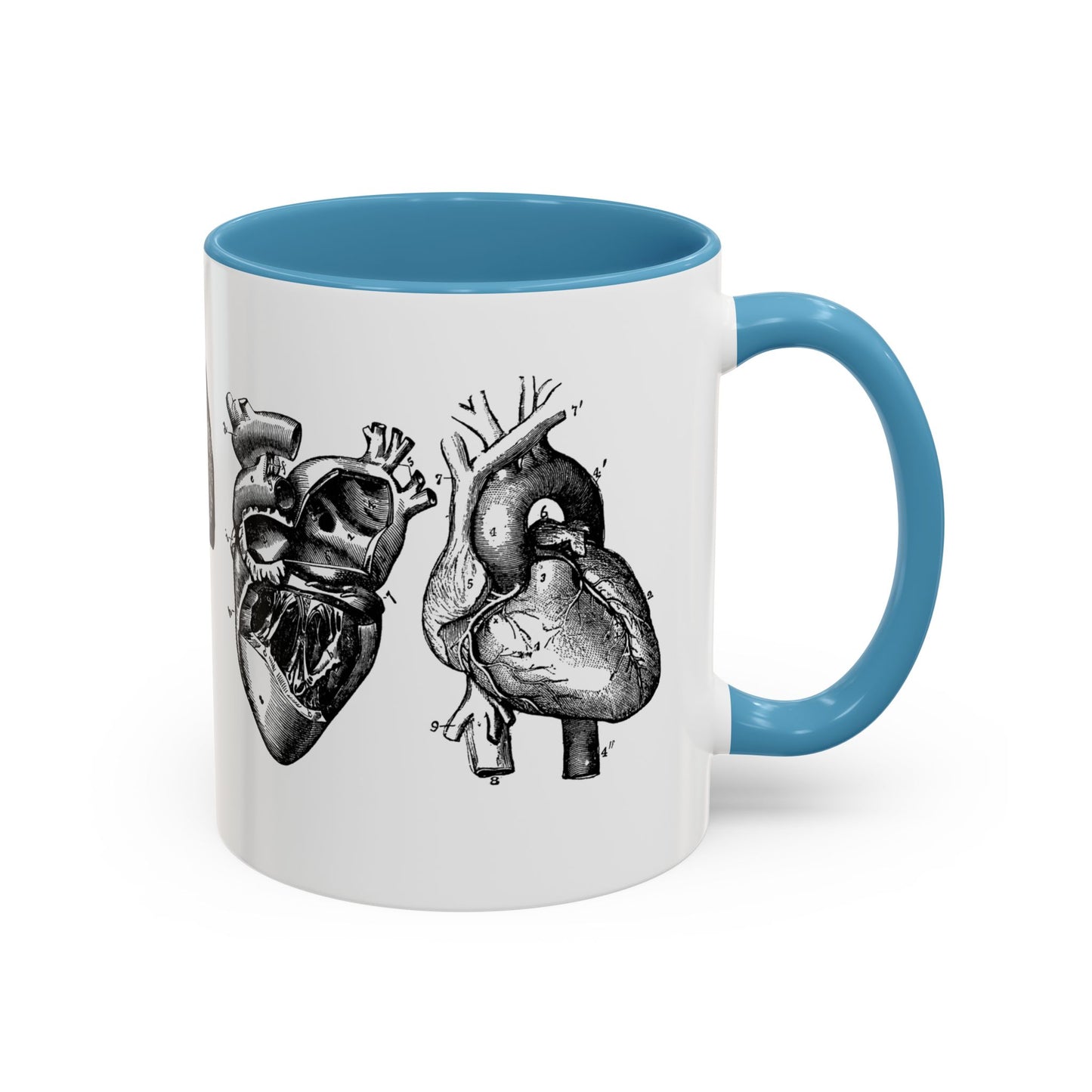 Cardiothoracic Surgery Mug, Heart and Lung Anatomy Cup, Surgeon Gift, Medical Anatomy Mug, Doctor Appreciation, Healthcare Worker Gift