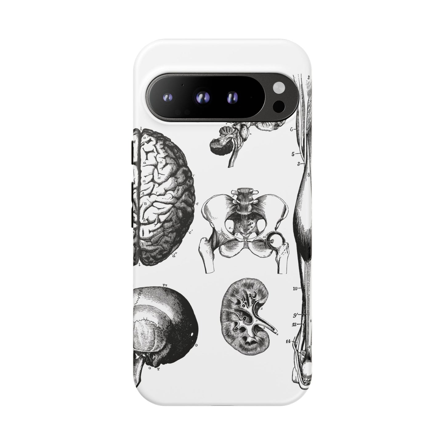 Vintage Anatomy Phone Case - Medical Sketch Design - Custom iPhone, Samsung & Pixel Cover - Science Gift - Doctor Aesthetic - Anatomy case