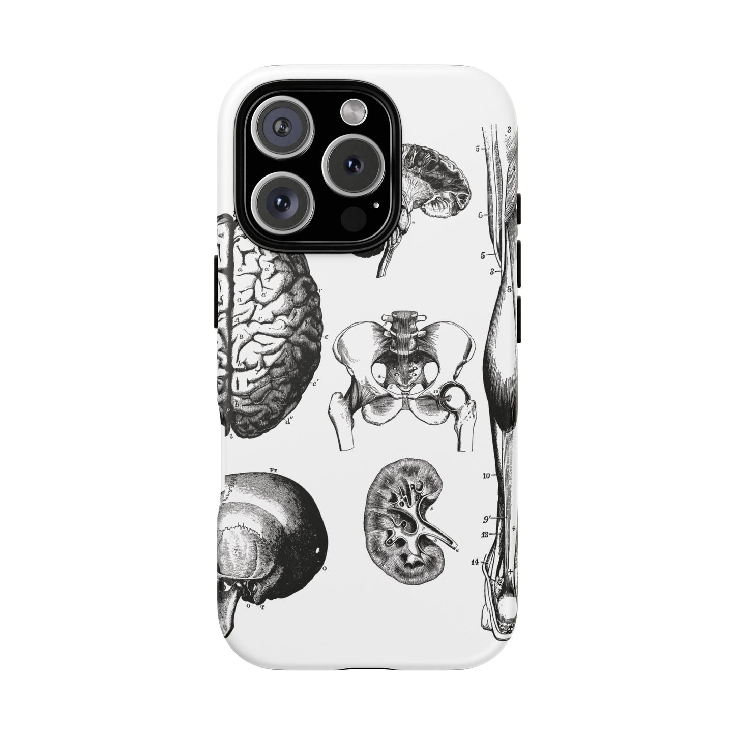 Vintage Anatomy Phone Case - Medical Sketch Design - Custom iPhone, Samsung & Pixel Cover - Science Gift - Doctor Aesthetic - Anatomy case