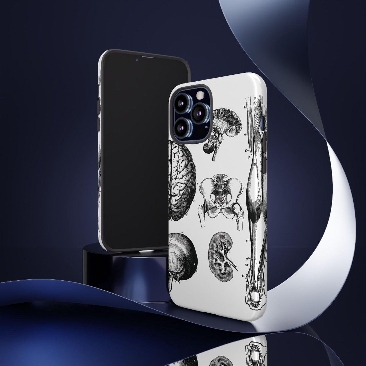 Vintage Anatomy Phone Case - Medical Sketch Design - Custom iPhone, Samsung & Pixel Cover - Science Gift - Doctor Aesthetic - Anatomy case