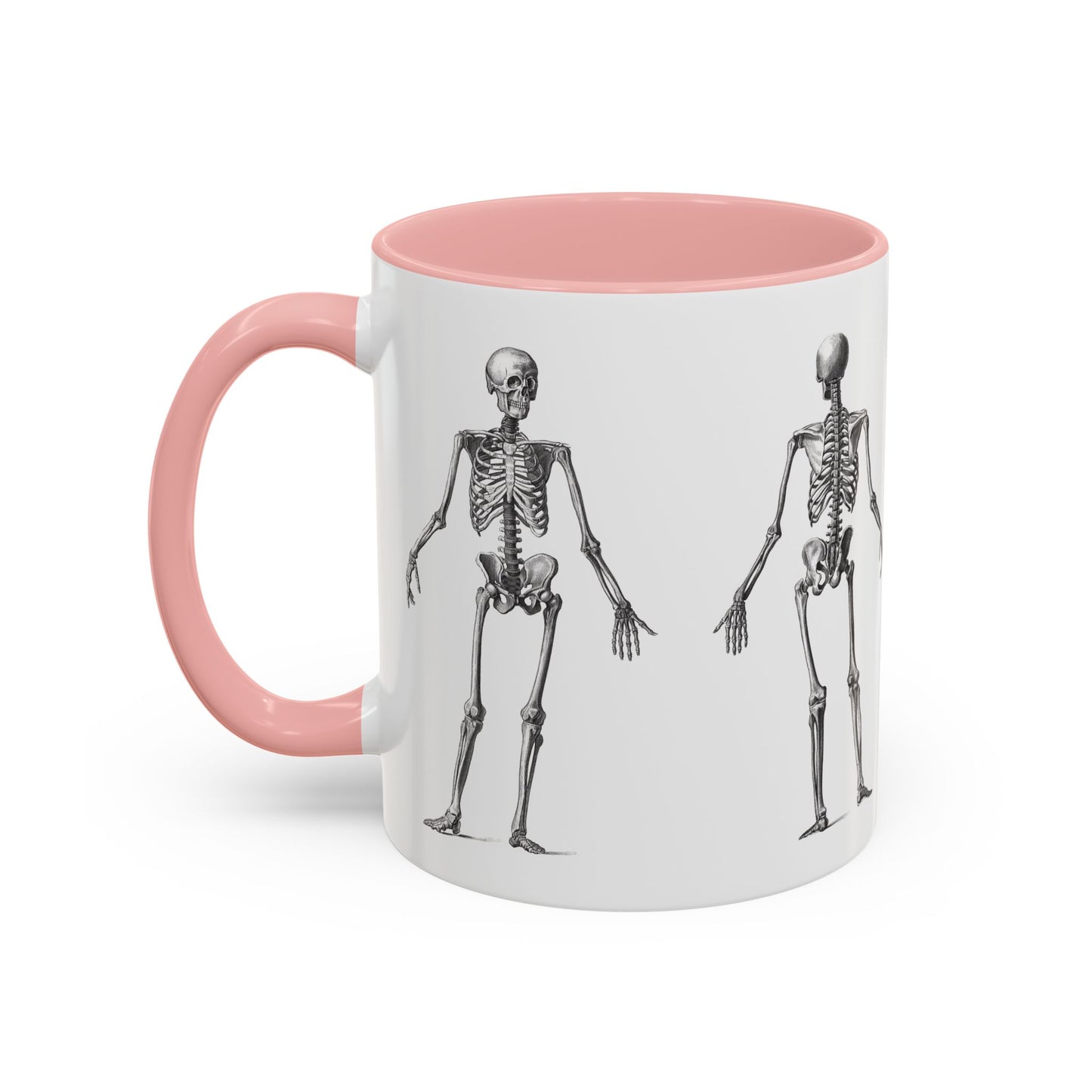 Anatomy Skeleton Accent Coffee Mug, Medical Student Doctor Nurse Gift, Anatomical Diagram, Halloween Mug, Biology Teacher Gift,